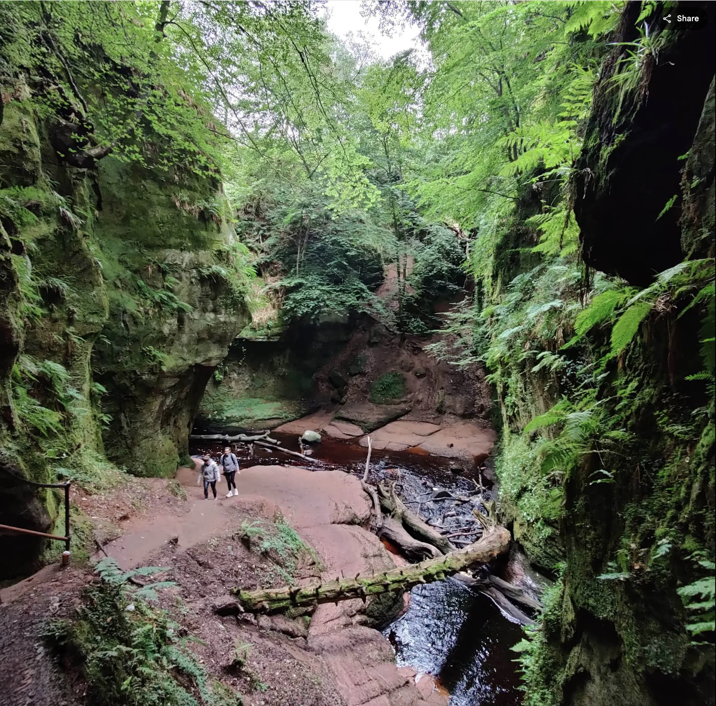 Luminous green walls, covered in moss, shamrock and ferns rise above a blood red river.