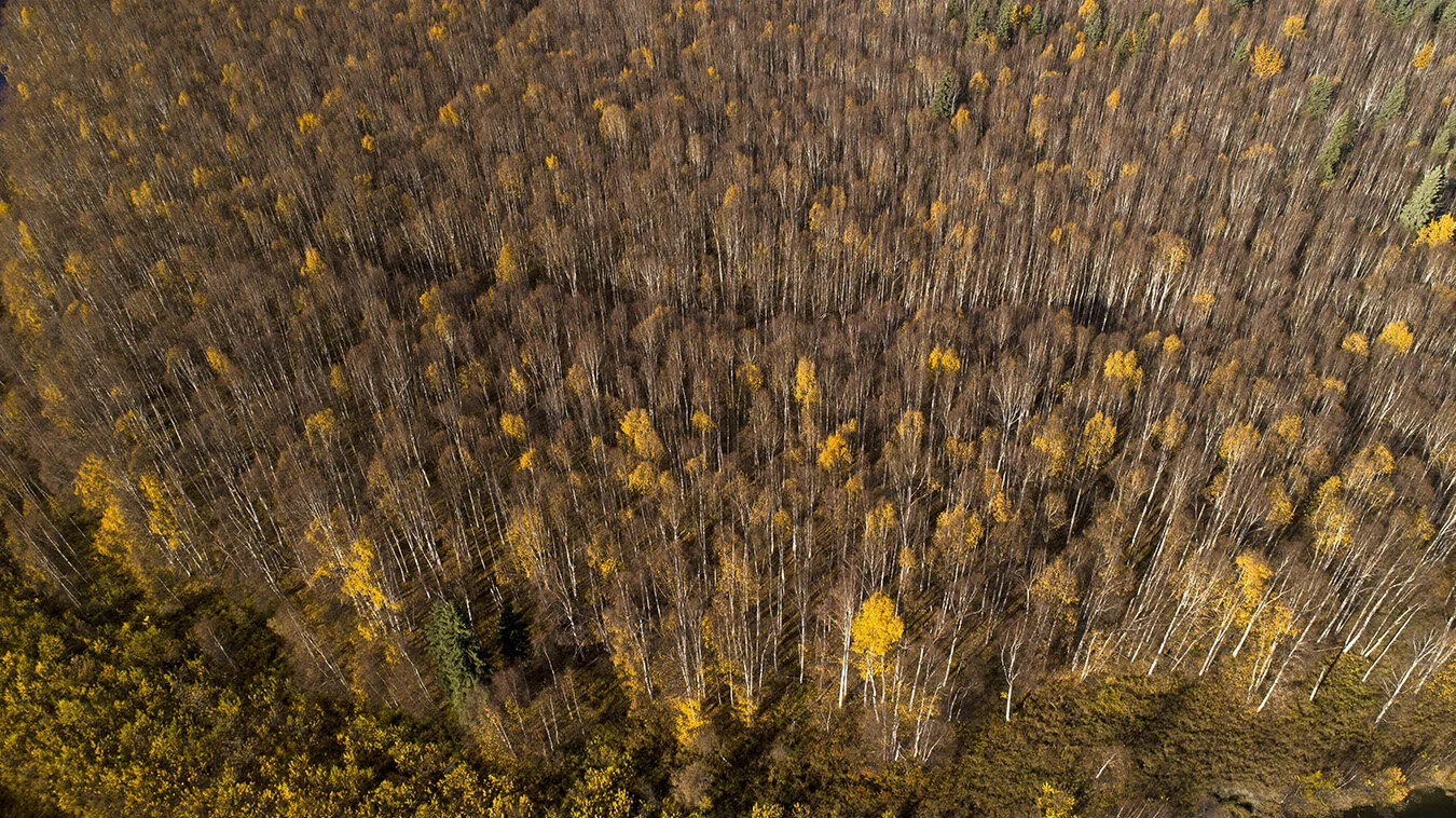 DJI_0067.jpg