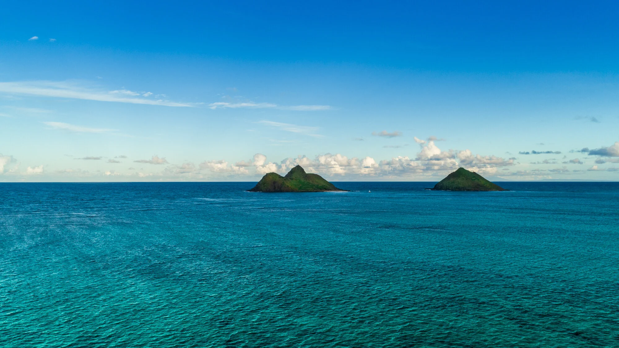 DJI_0183.jpg