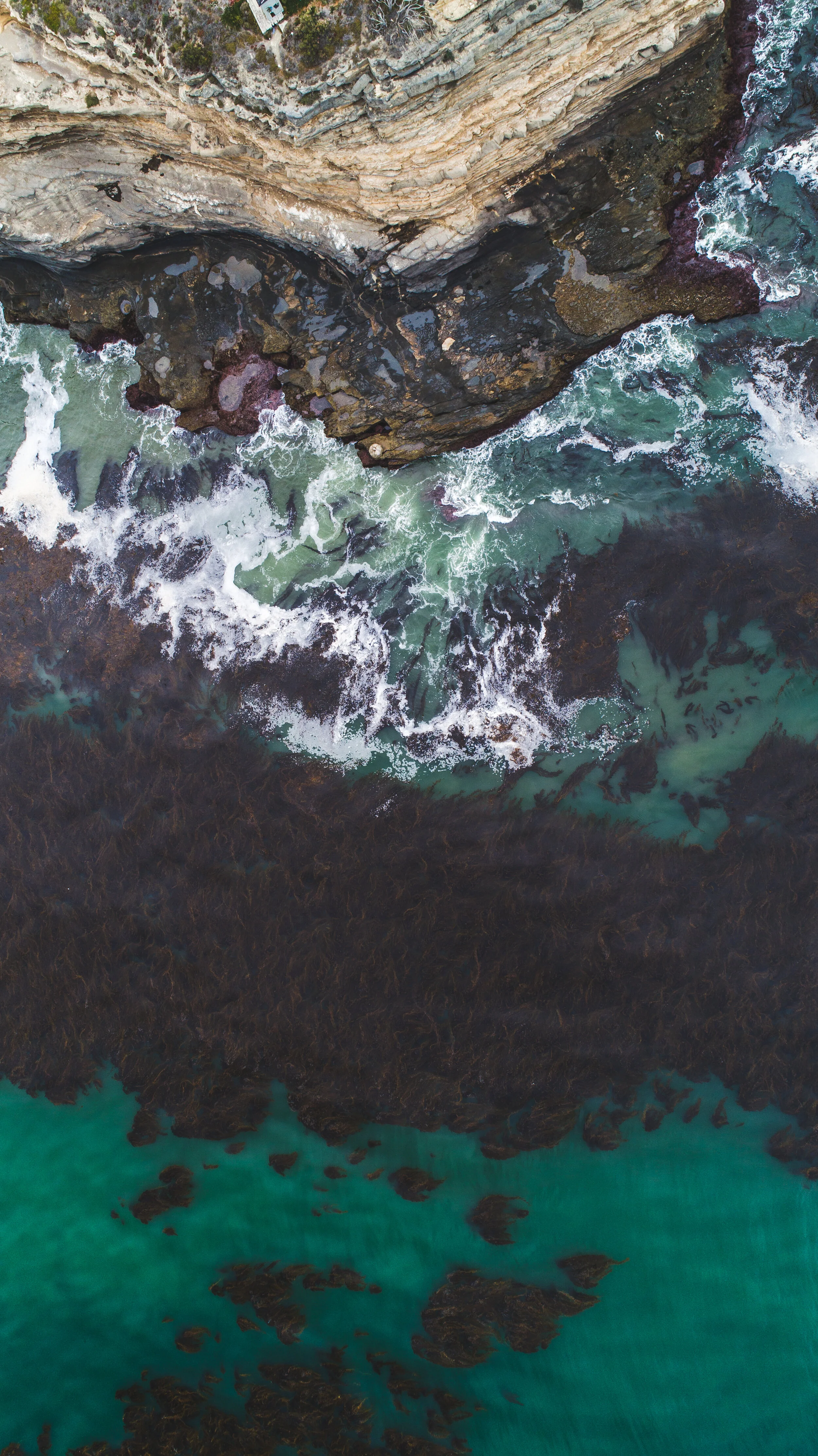 DJI_0106-2.jpg