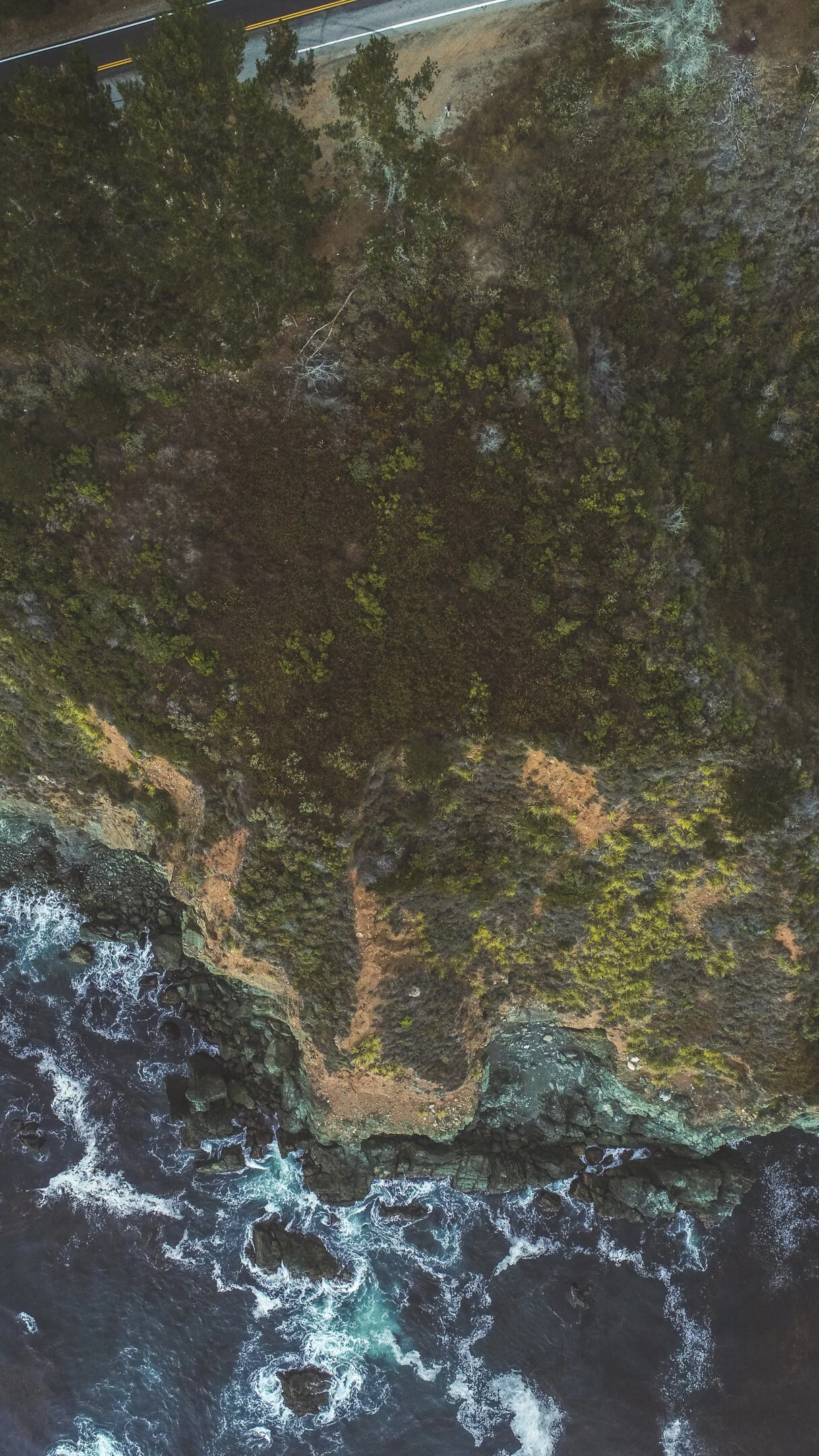 DJI_0202.jpg