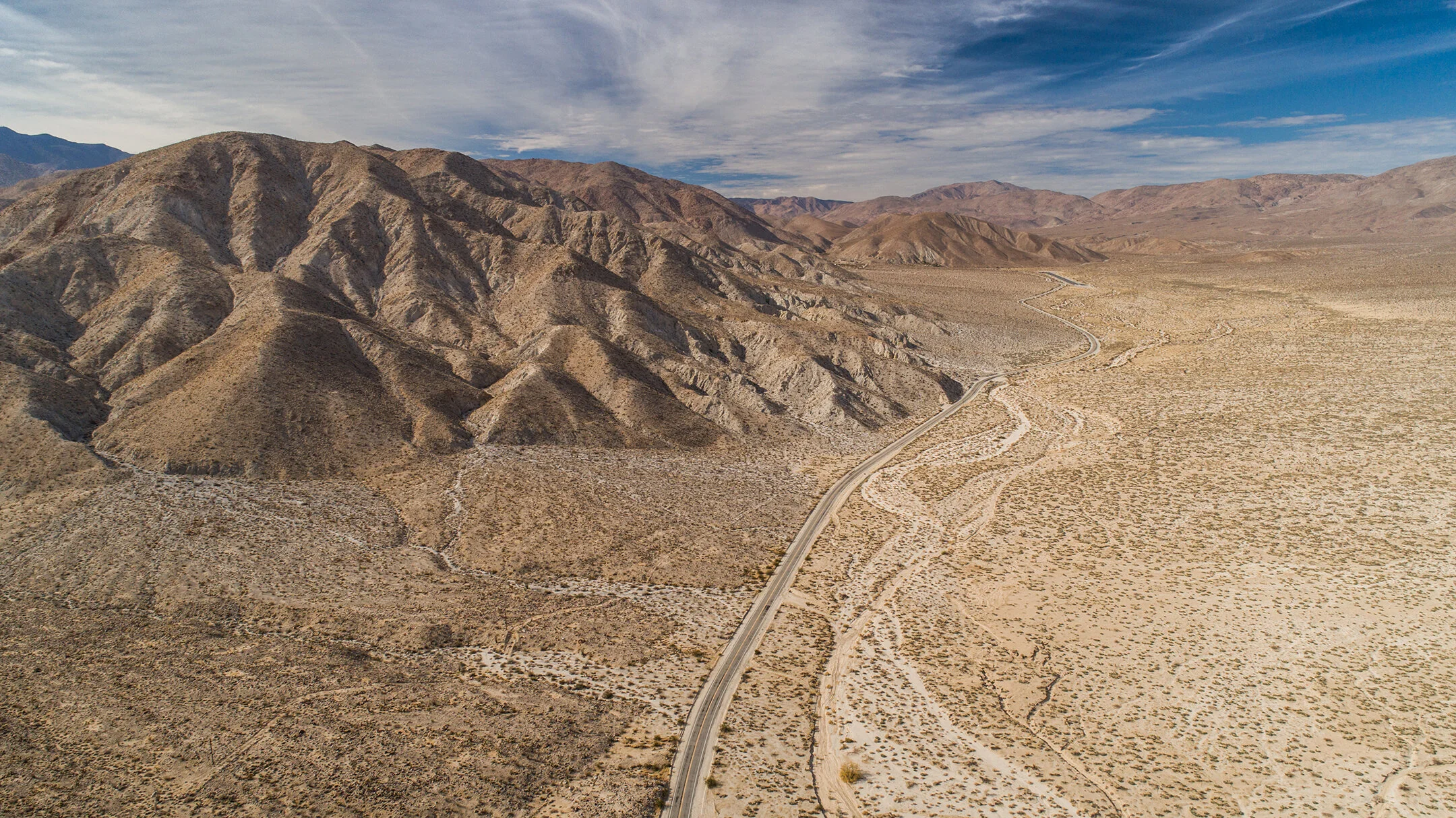 Ocotillo.jpg