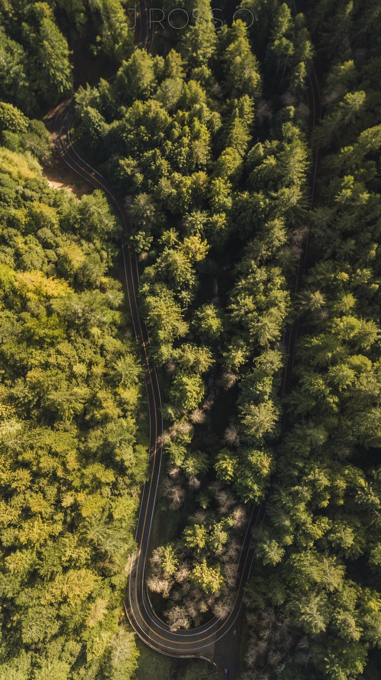 DJI_0206.jpg