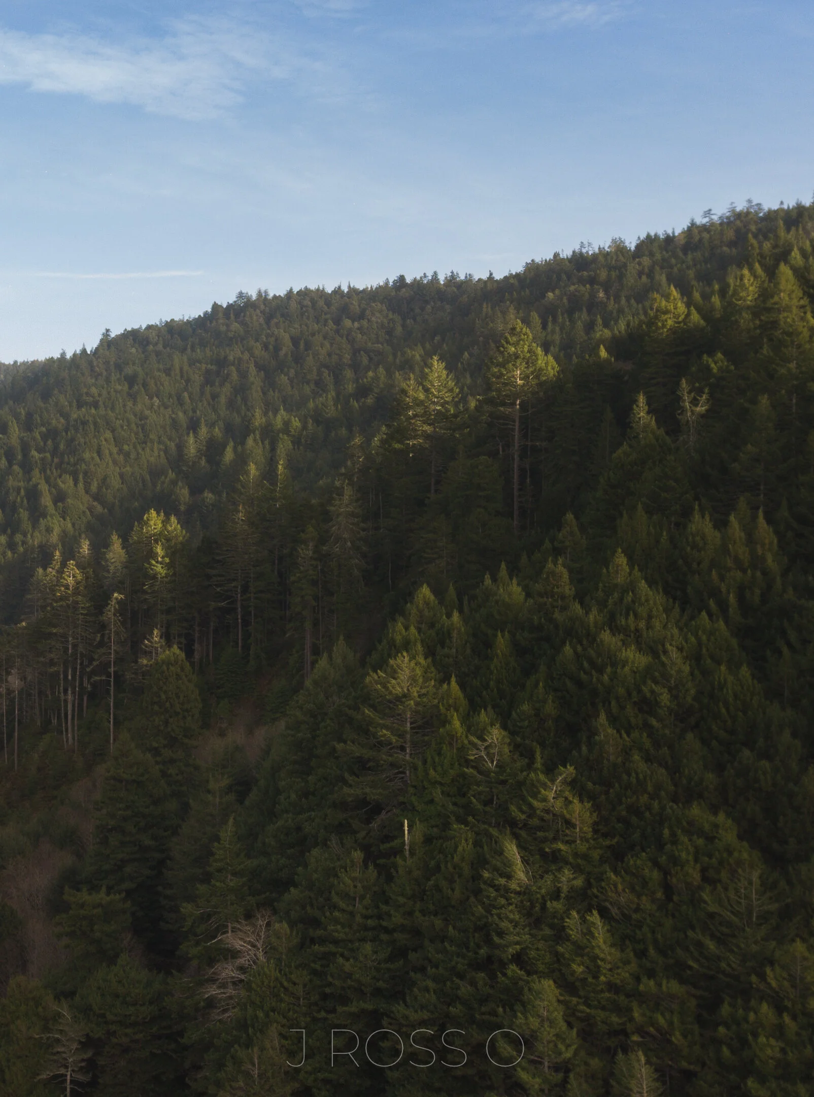 DJI_0217.jpg