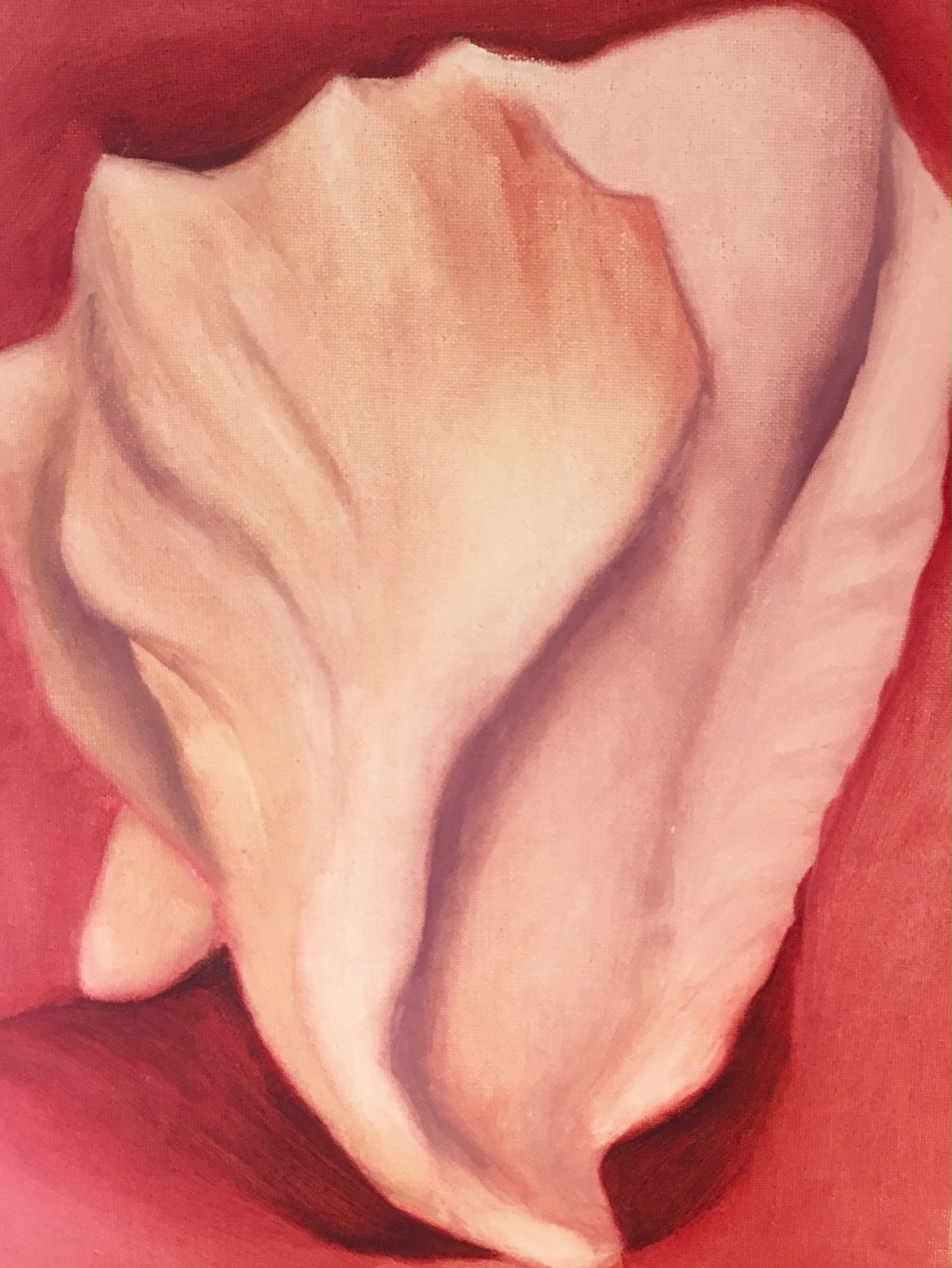 "Elephant Shell" | Oil on Canvas | 14x11