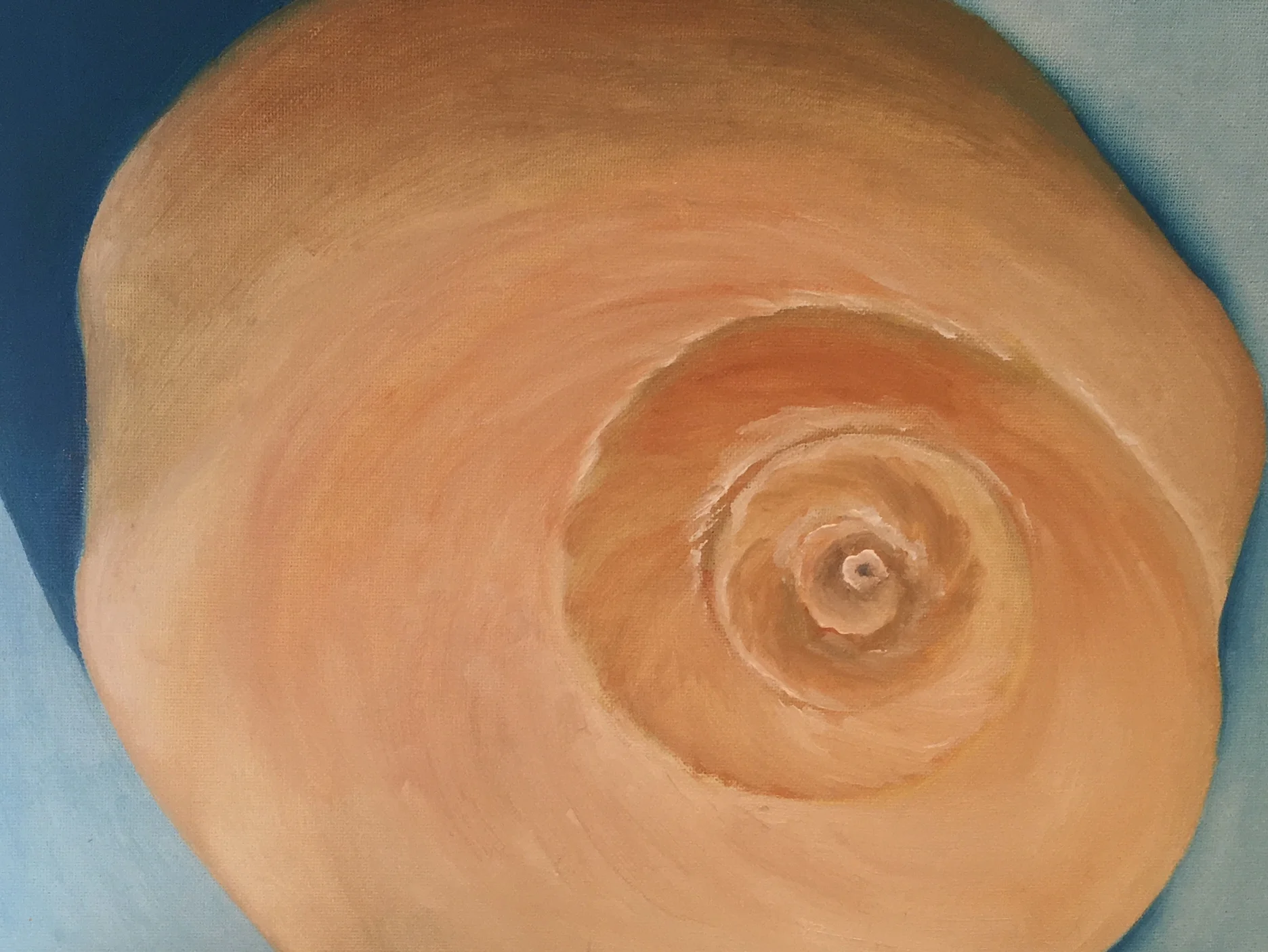 "Teal Seashell" | Oil On Canvas | 11x14