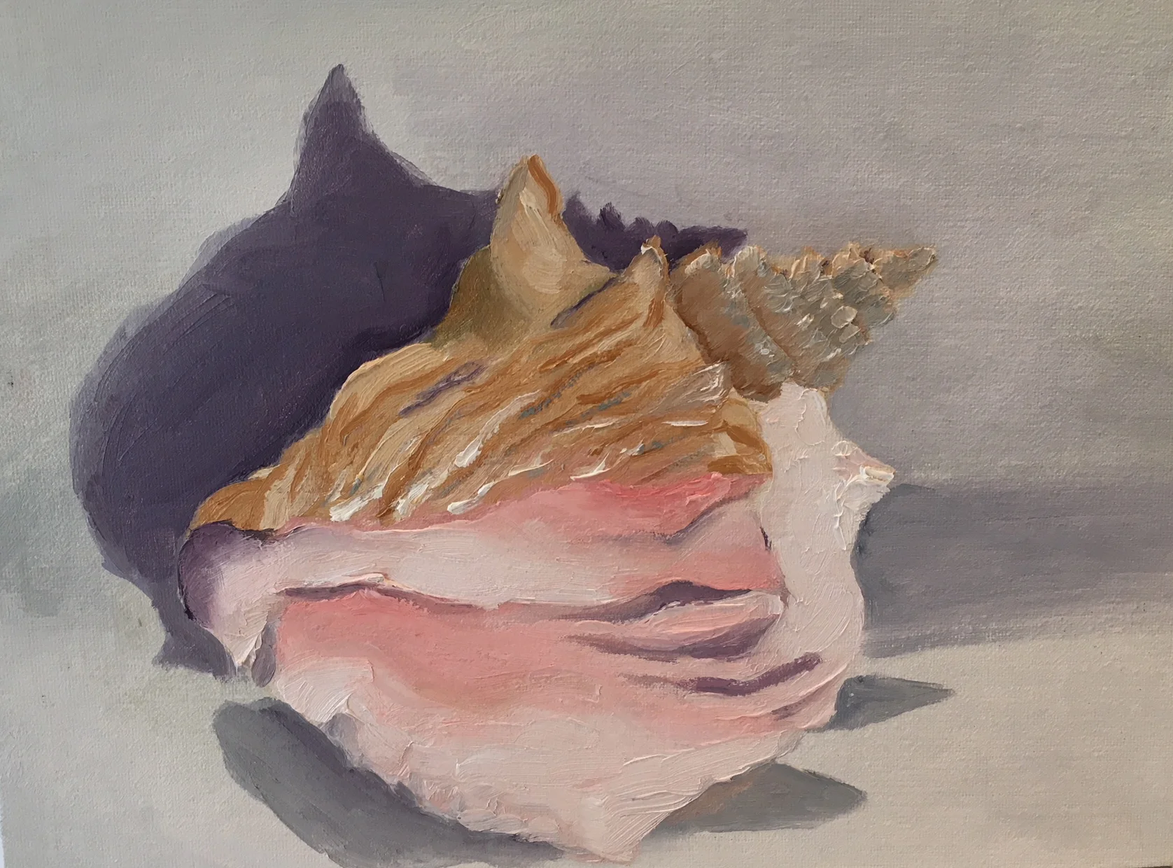 "Pink Conch" | Oil On Canvas | 9x12