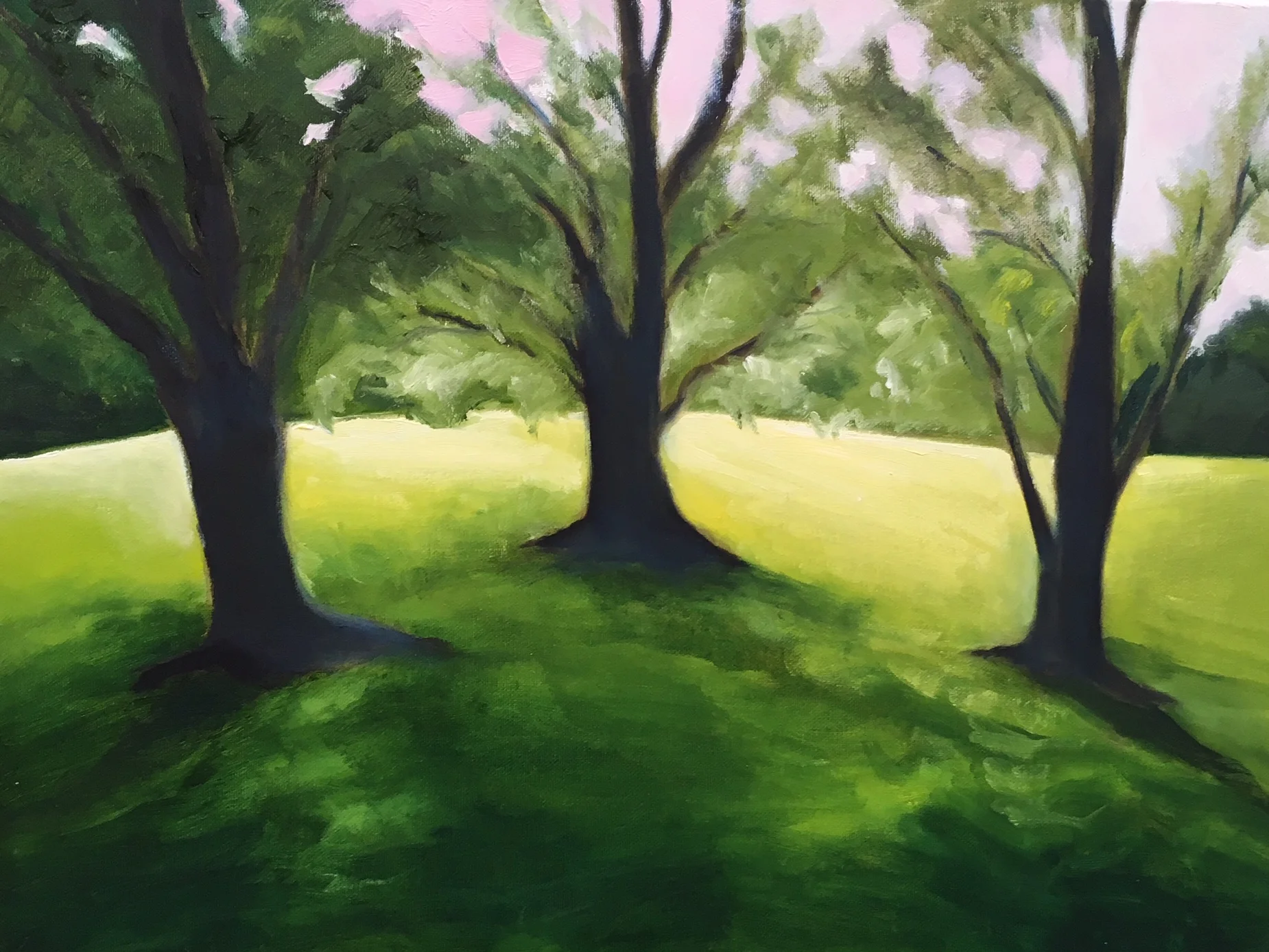 Trees | "Pink Sky And Trees"