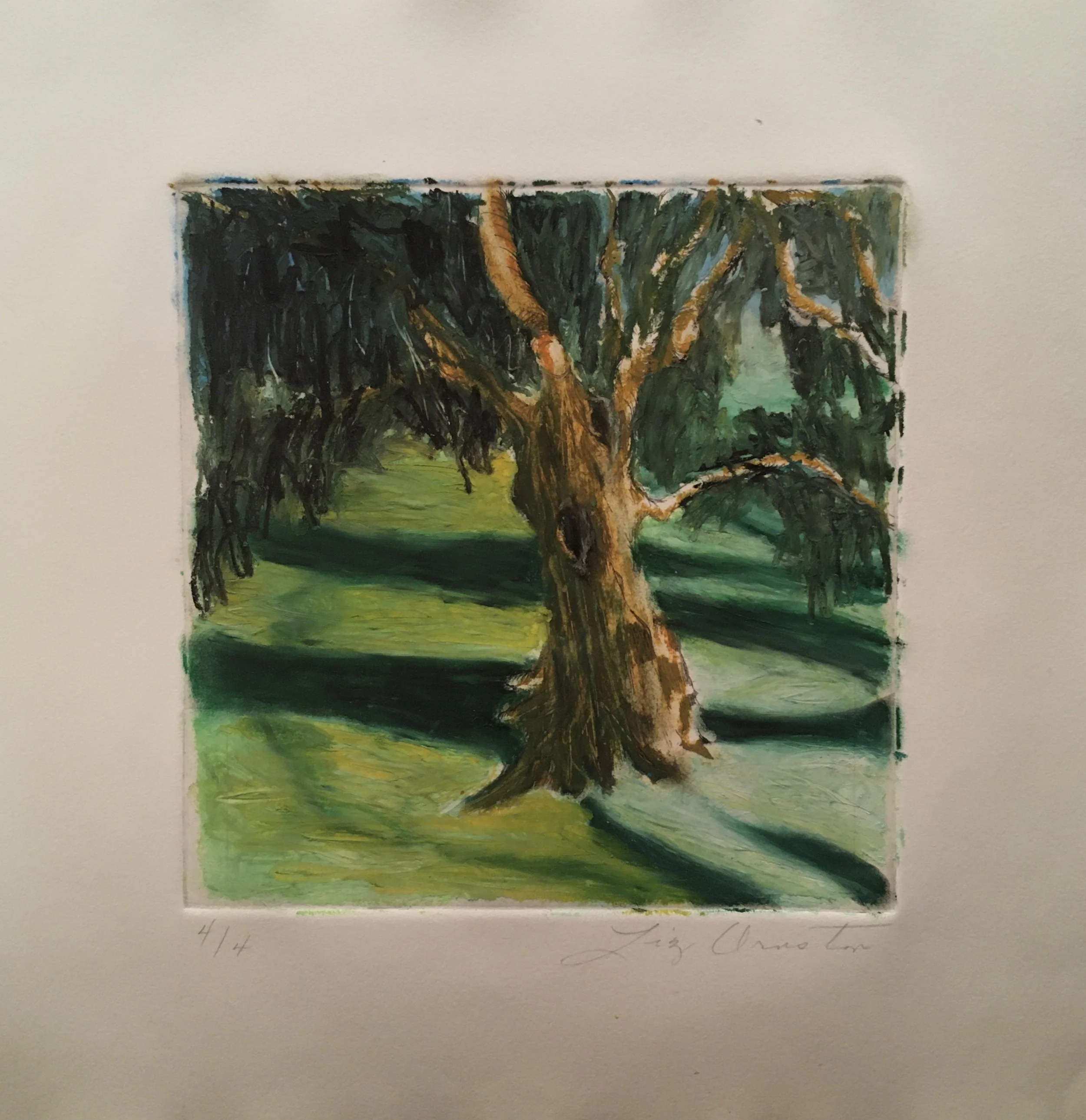 "Weeping Tree" | Cray-Pas on Paper | 8x8