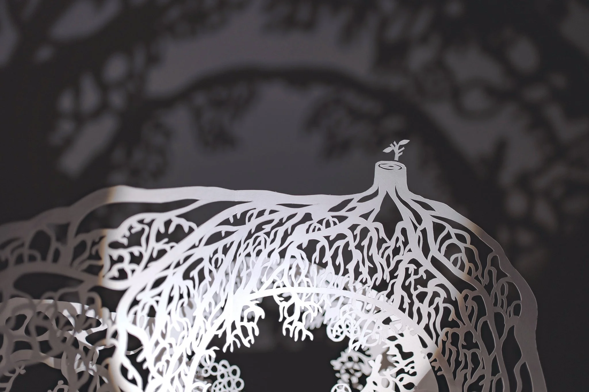 undergrowth_04.jpg