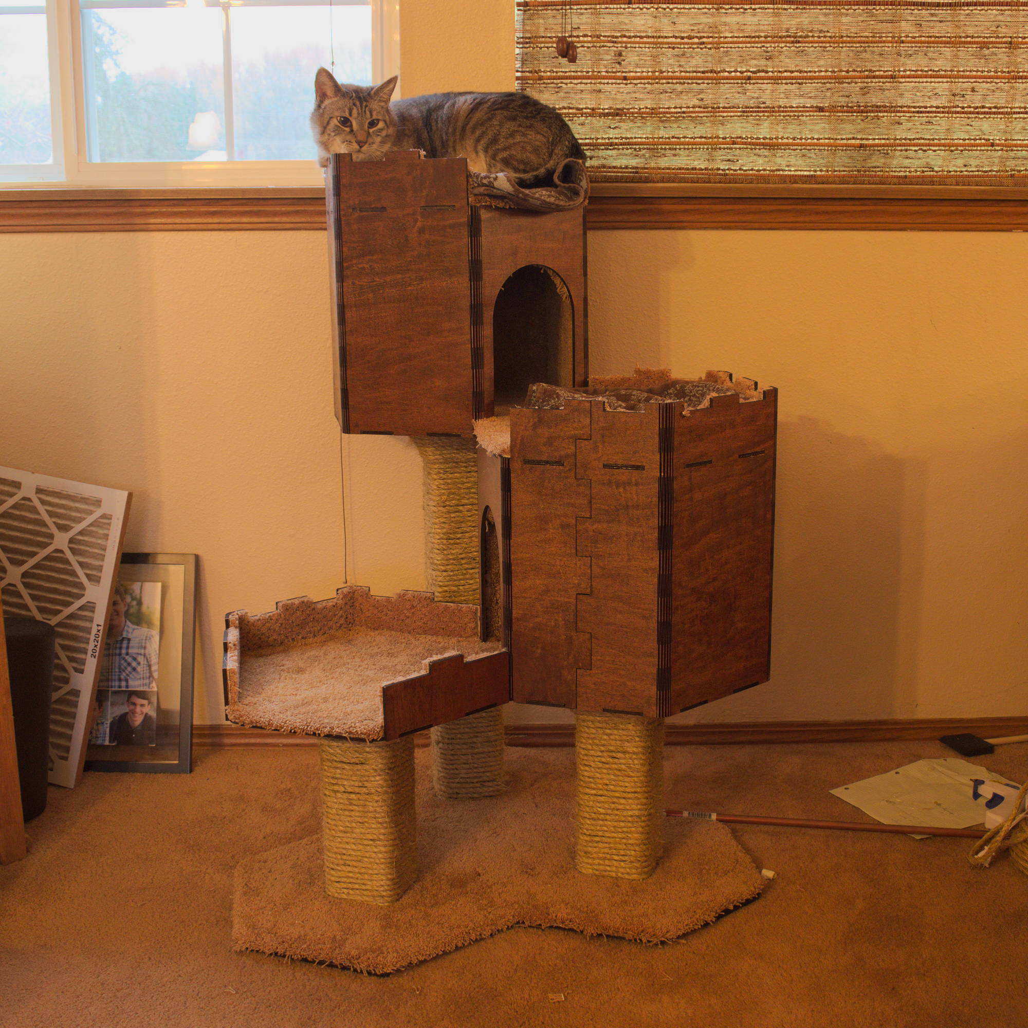 cat castle tower