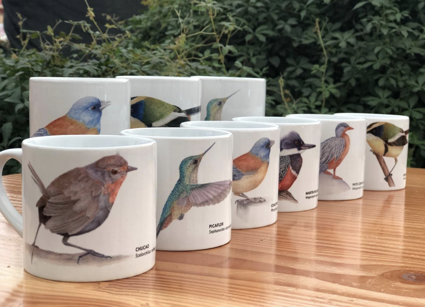 Tazas.png
