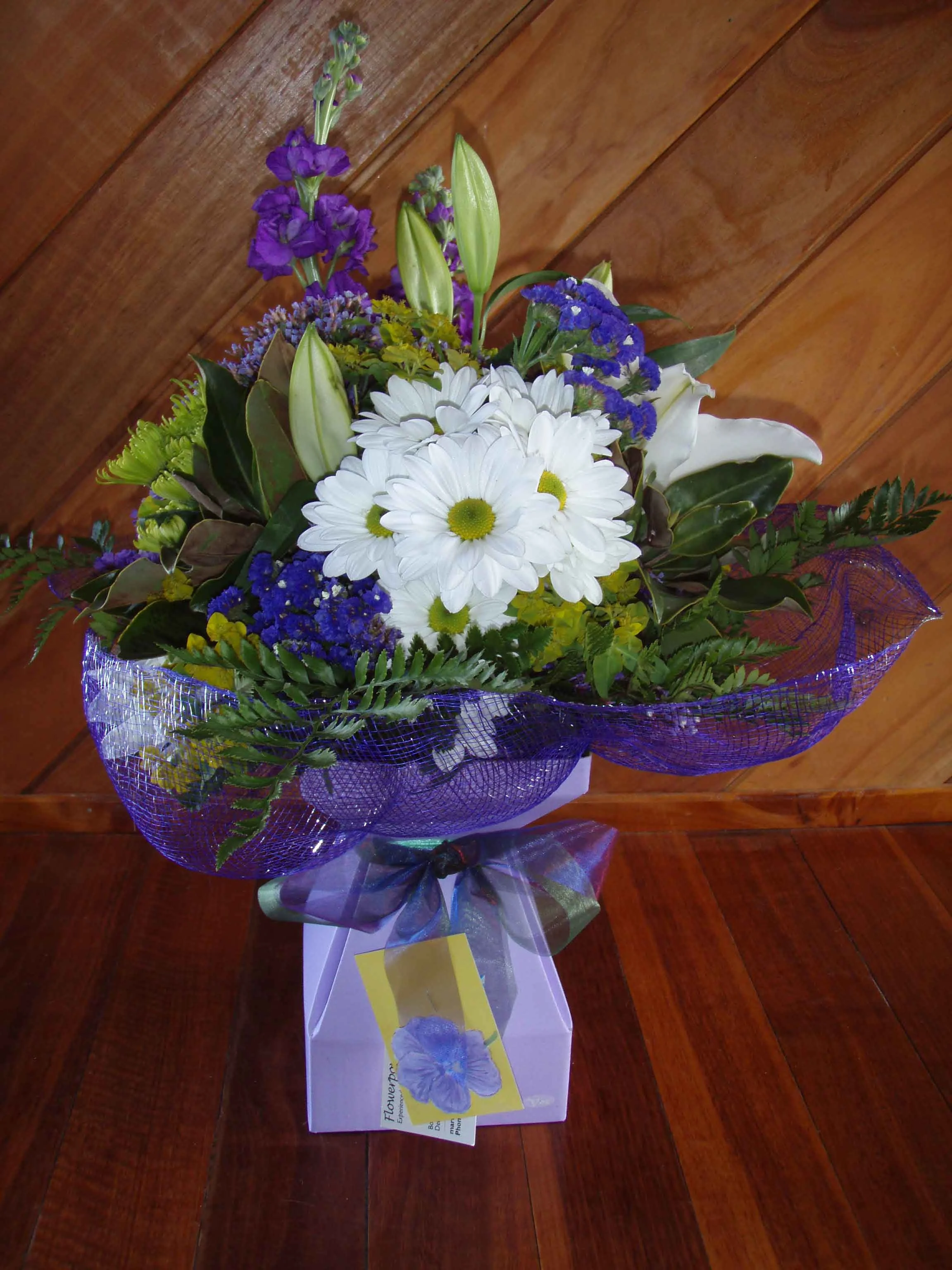 Purple-vox-flower-flowerpower-northland