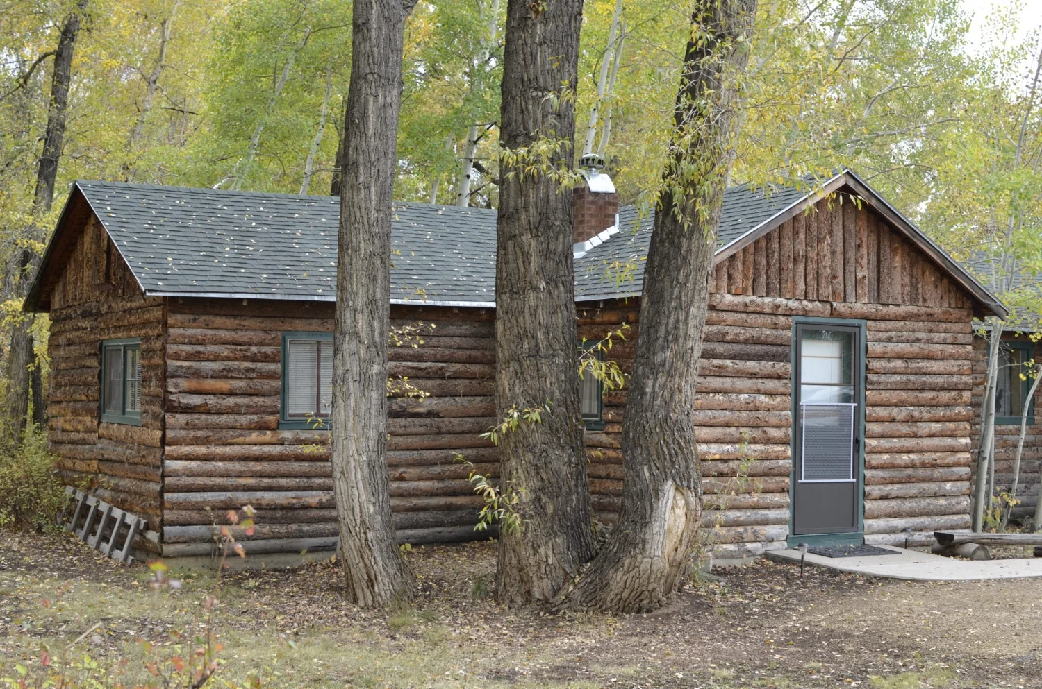 _0181855 Heron from outside.JPG