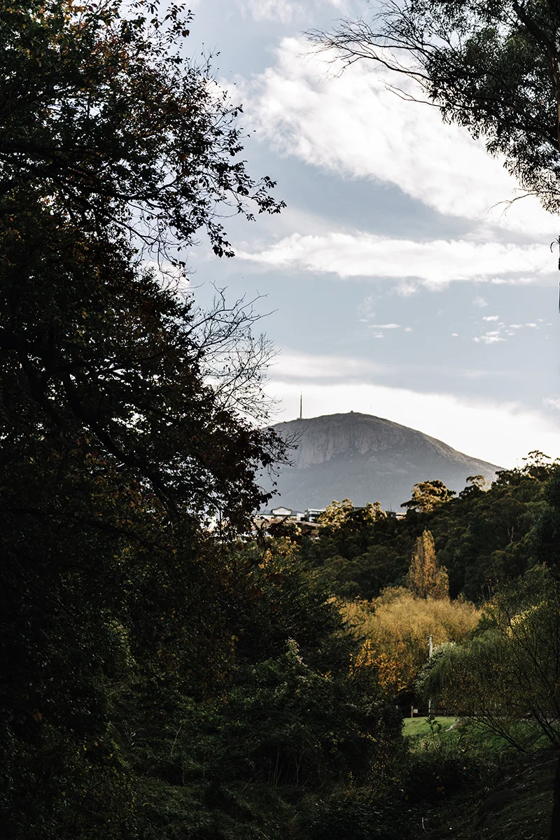 View of kunanyi Mount Wellington from the Hobart Rivulet Walking track in West Hobart