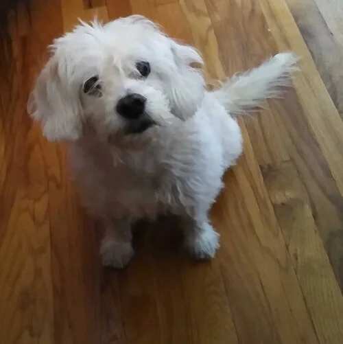 Beatrix | Associate Branch Manager