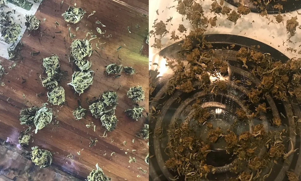 Before and after de-carbing the flower