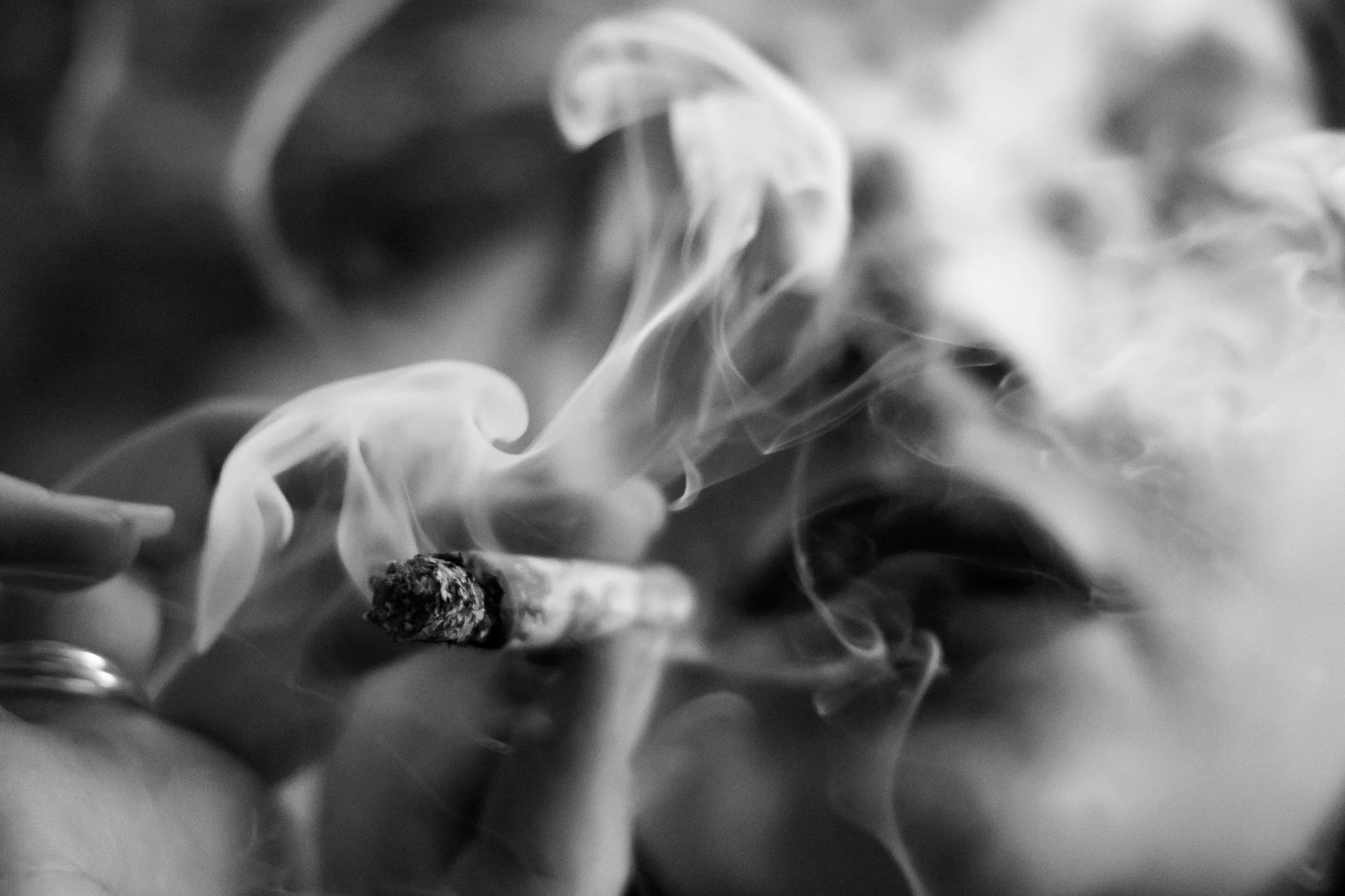 Cannabis paranoia gets a bad wrap, and yet we can leverage this elevated perspective for greater awareness and the promotion of self and others