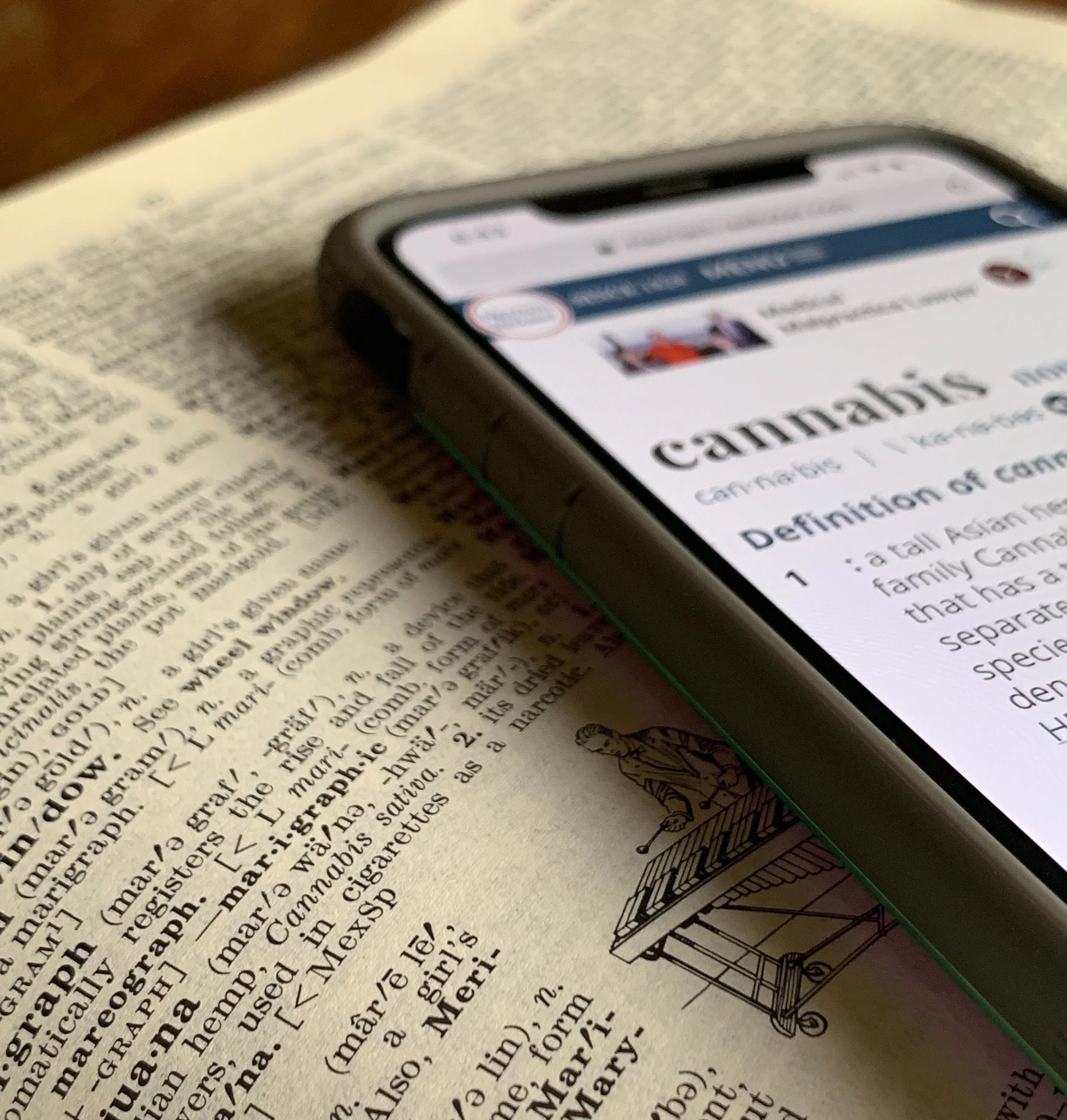 Ever since Brad became a MMJ patient and caregiver, he knew that he belonged in the cannabis space.