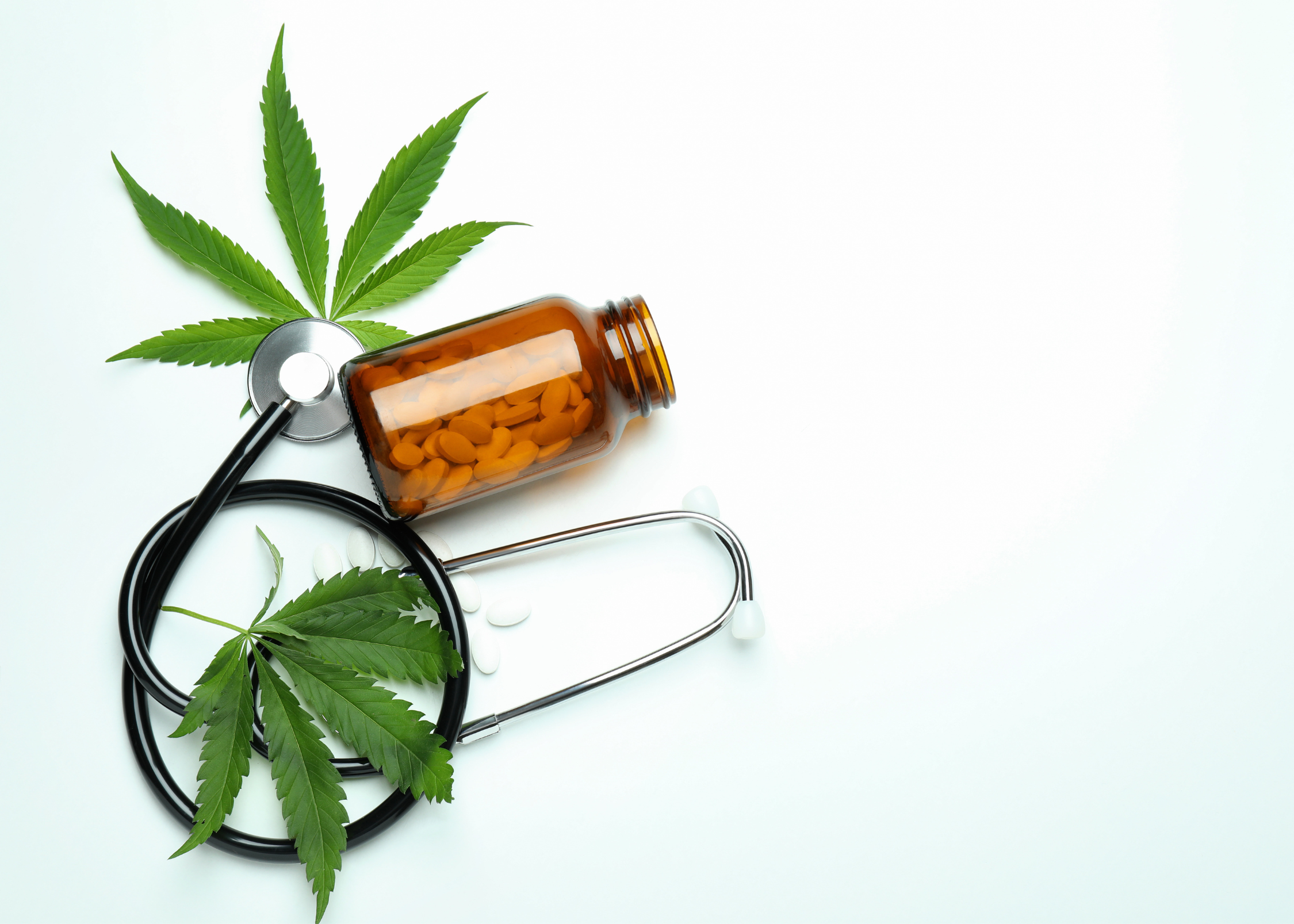 What We Know and Don’t Know About Cannabinoid-Drug Interactions (Collab with Polite Hemp)