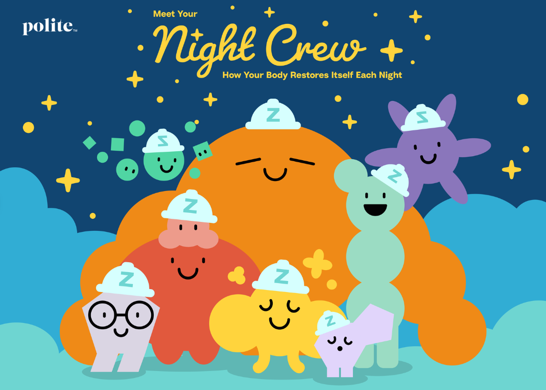 Meet Your Night Crew: How Your Body Restores Itself Each Night (Collab with Polite Hemp)