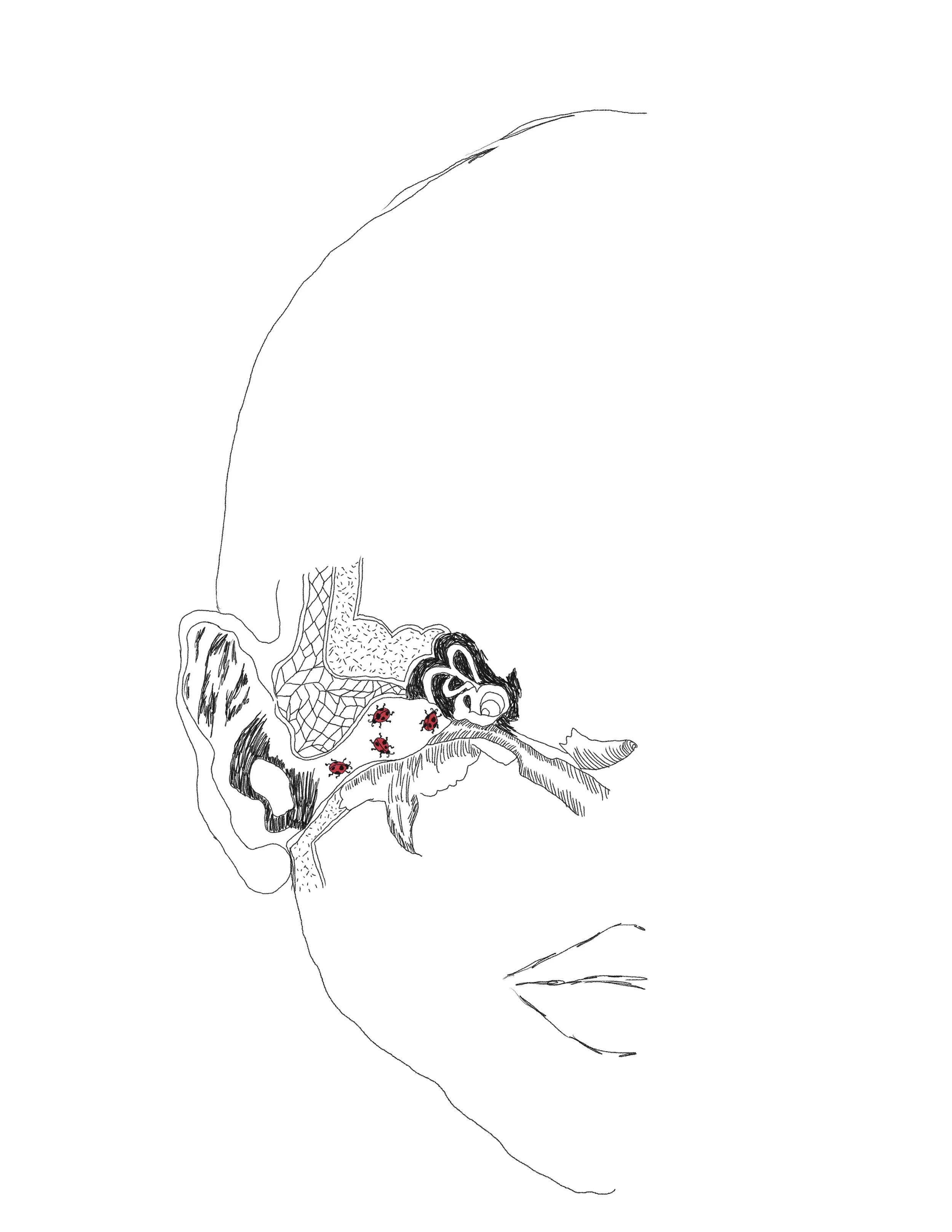 Copy of Pg95.jpg