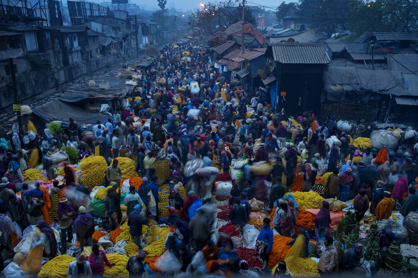  Mullick Ghat  ( Flower Market ), Calcutta / India 