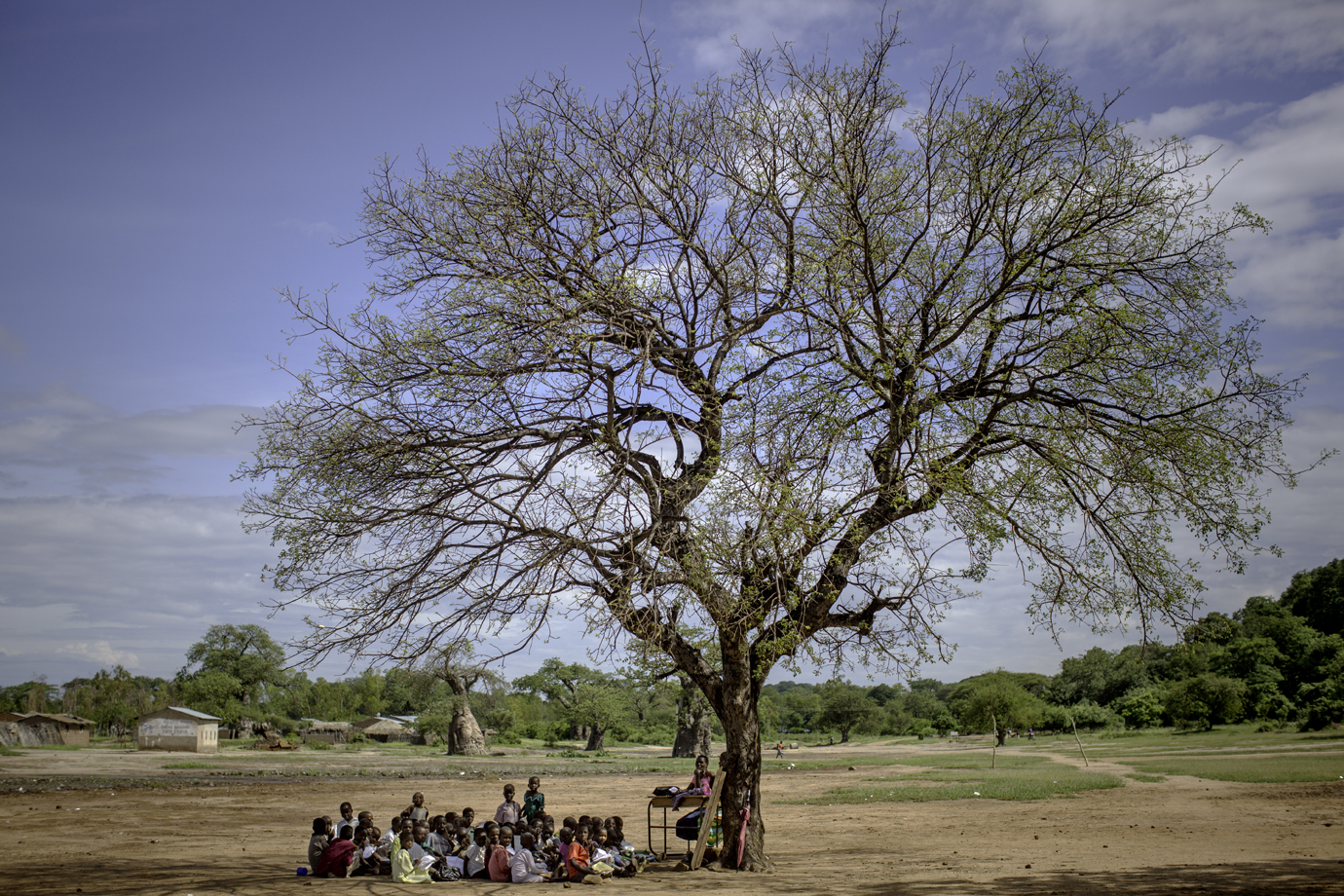  Students conducts their teaching in the shadow of a tree / Malawi - 2016 