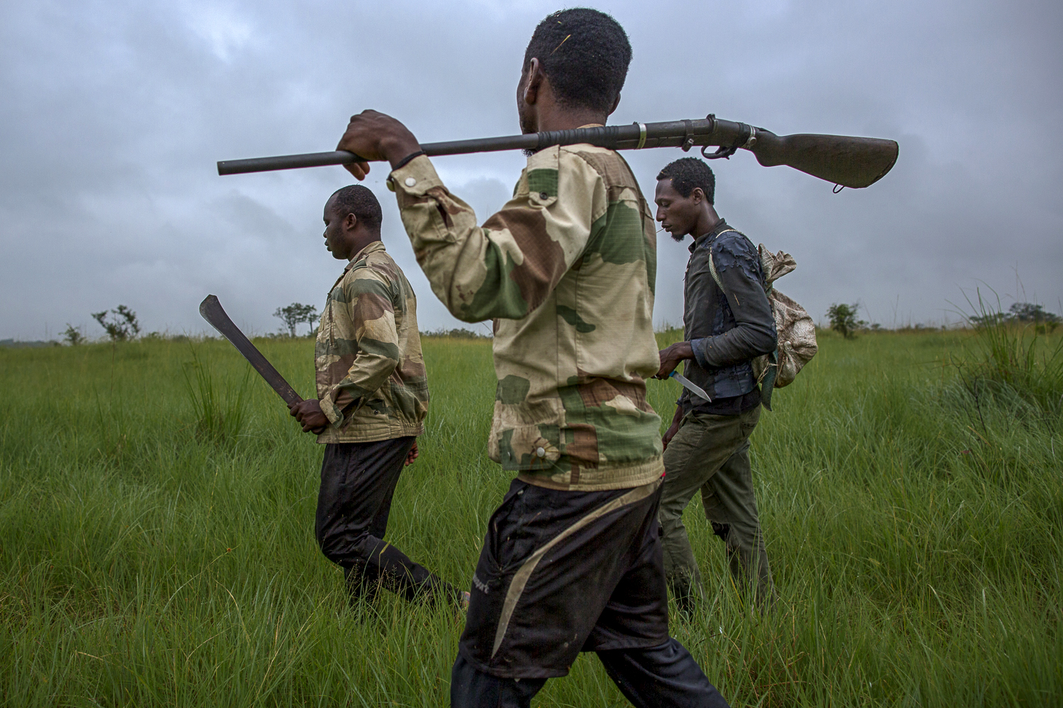 Poachers walking trough the savannah / Gabon - 2017