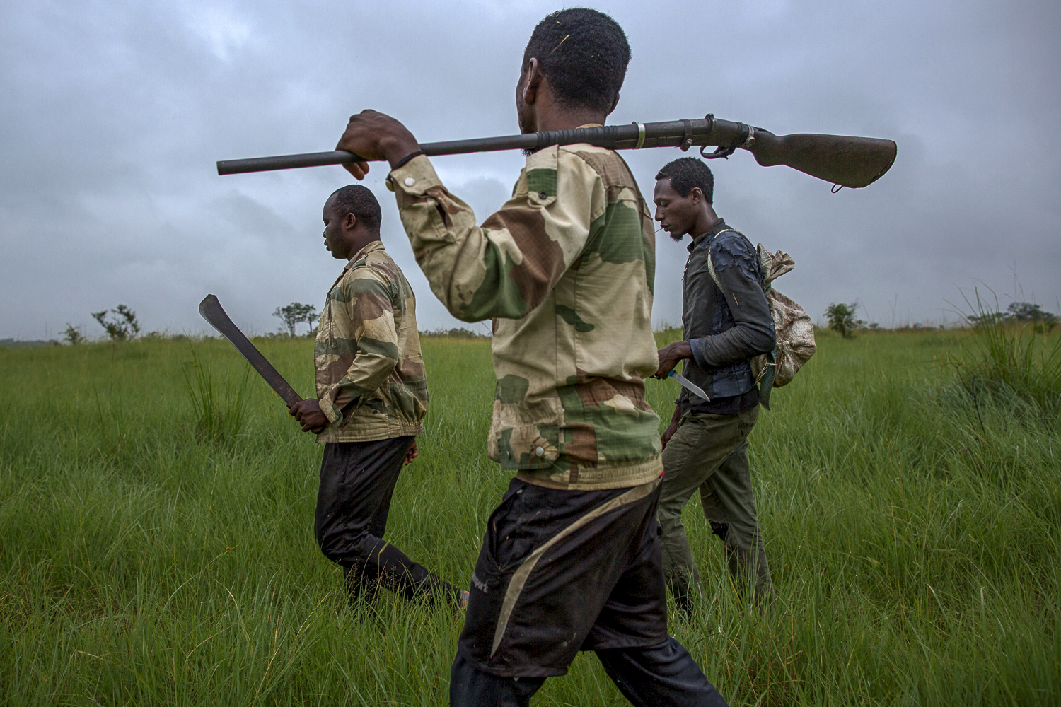  Poachers walking trough the savannah / Gabon - 2017 