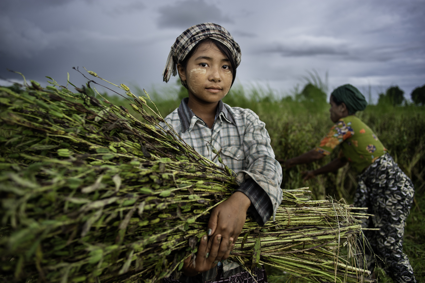  Rice farmer / Burma  