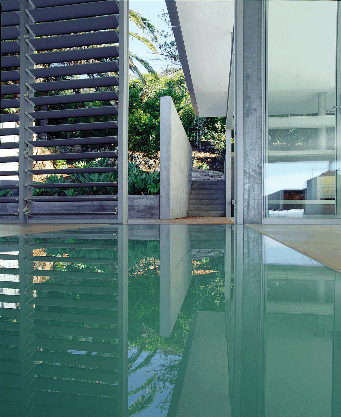 rosevear_stephenson_whalebeach_03.gif