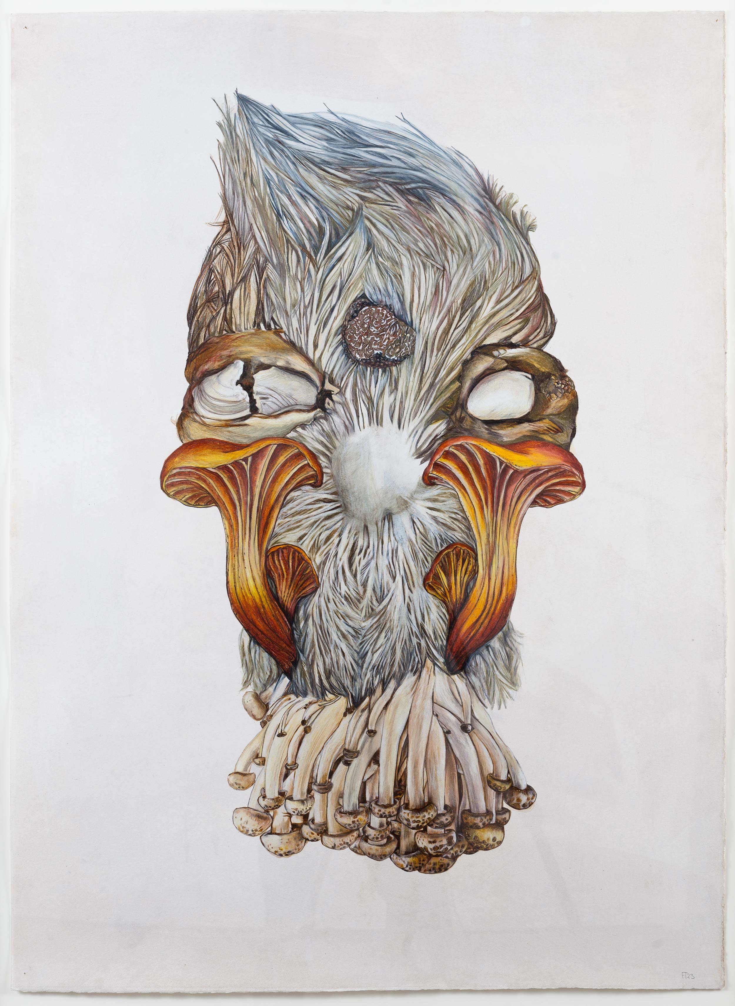 Fungi Group with Third Eye Truffle, Pencil on Paper, 110 X 77CM, 2023