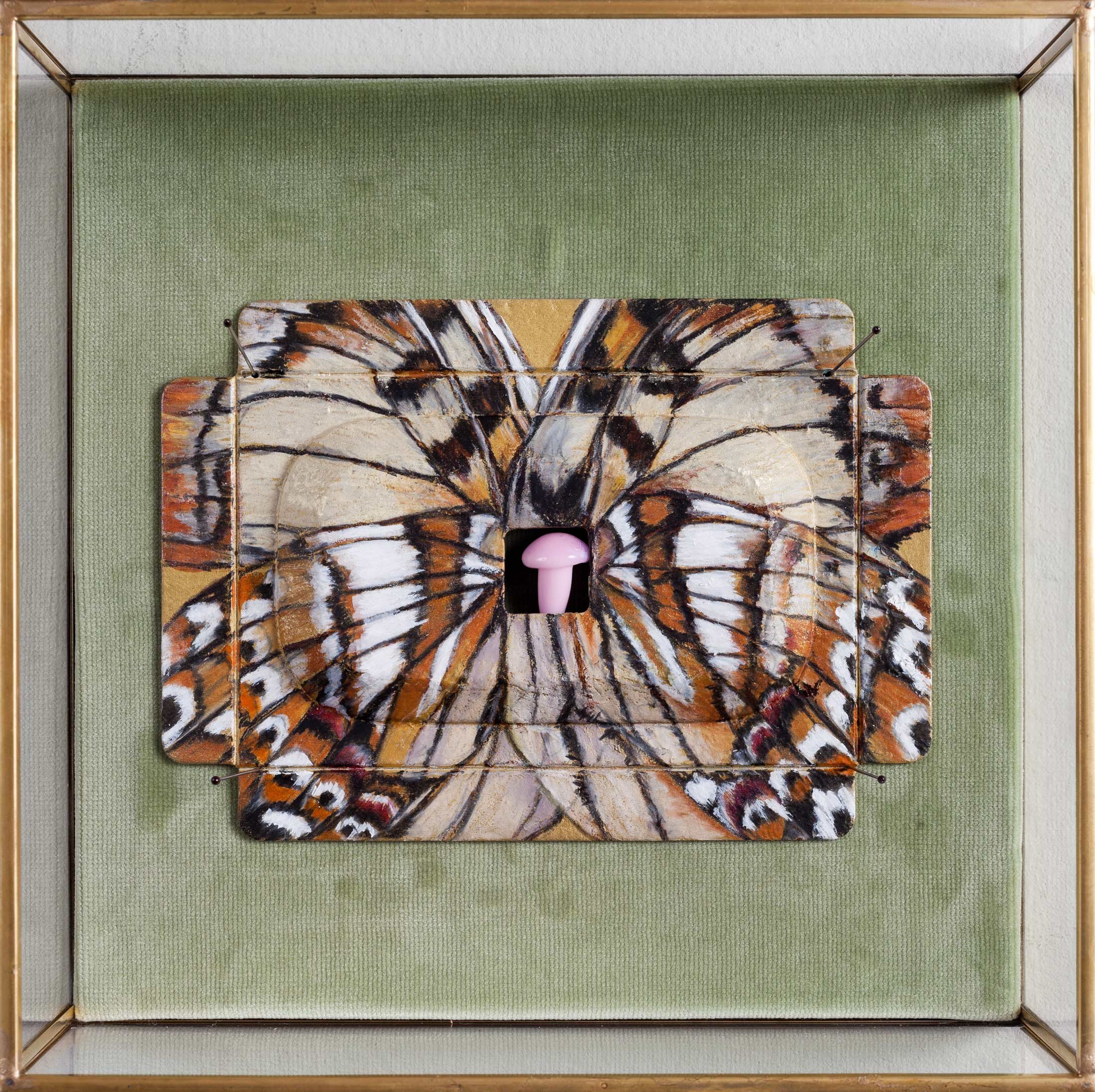 Pink Argynnis, Pencil on Paper and Hand Formed Glass in Glass Box, 20 X 20 X 5.5CM, 2023