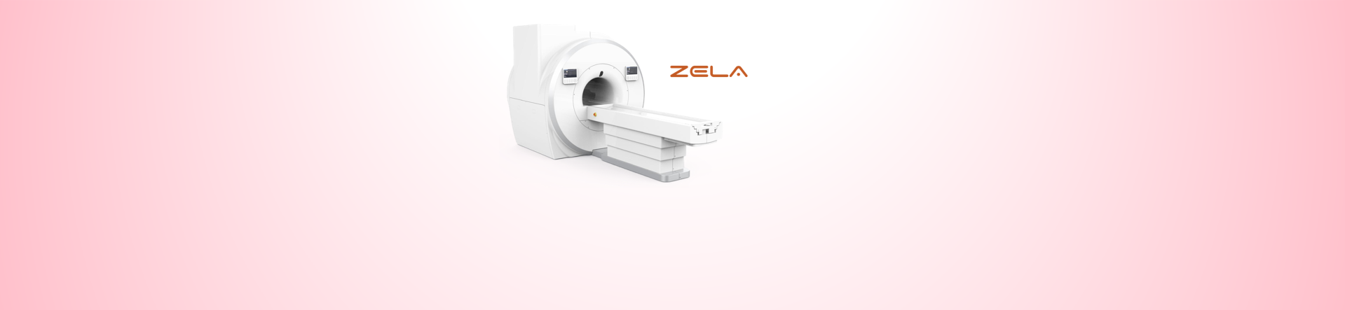 web banner zela.png