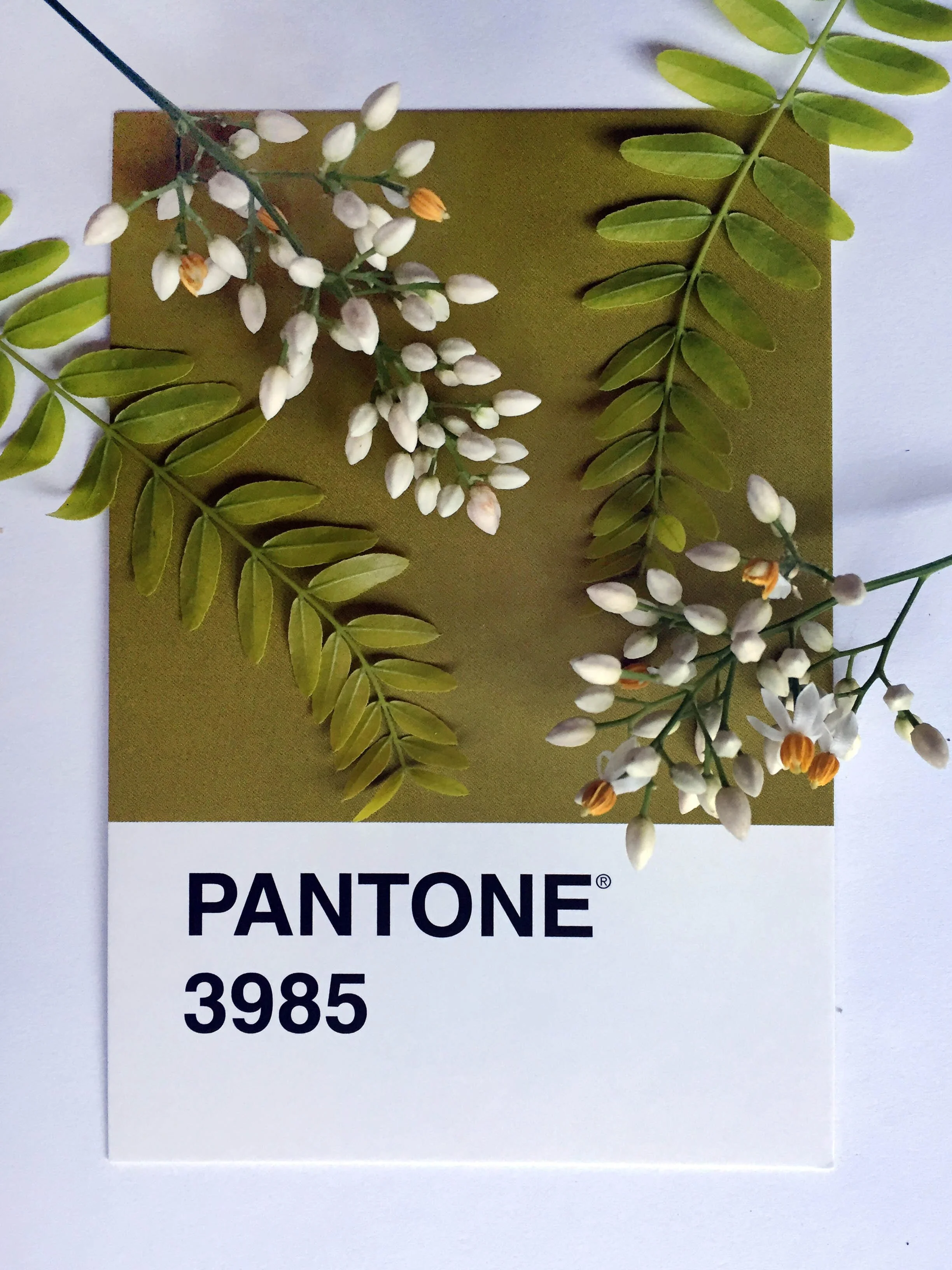 Since 2000 the Pantone Color Institute has declared a particular ‘Colour of the Year.’