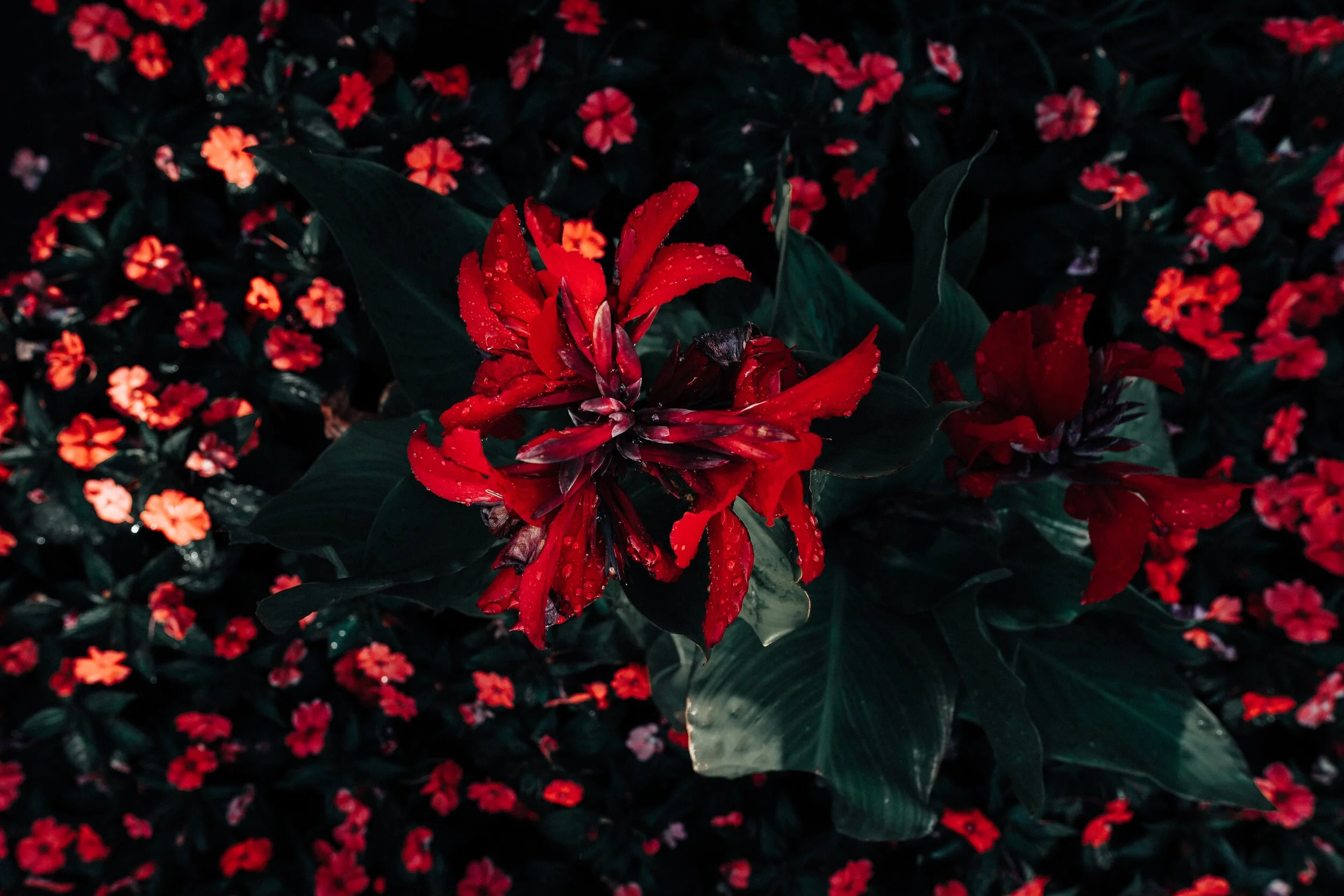 You don’t need Kintsugi: you’re not broken