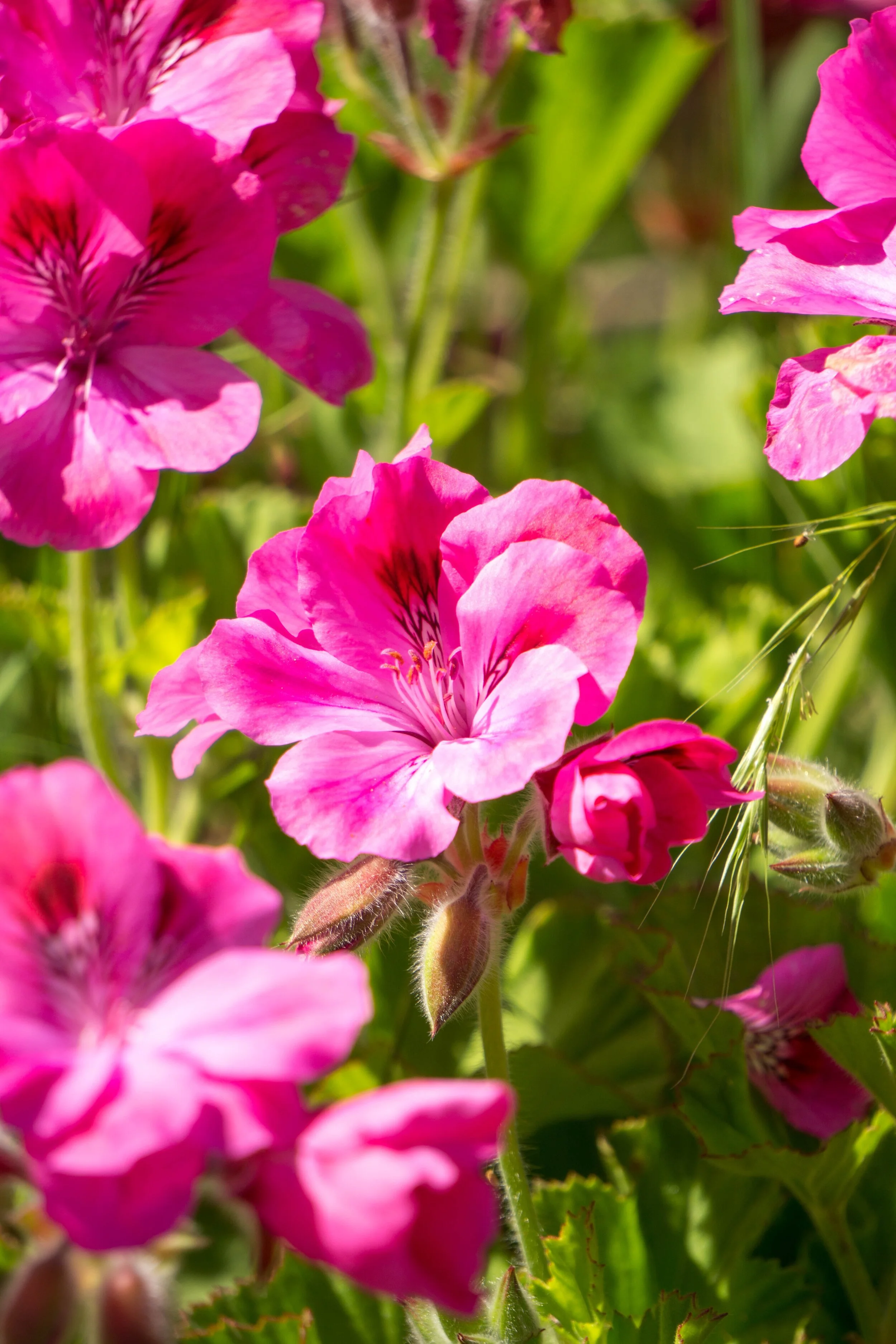 Taking refuge in resilience