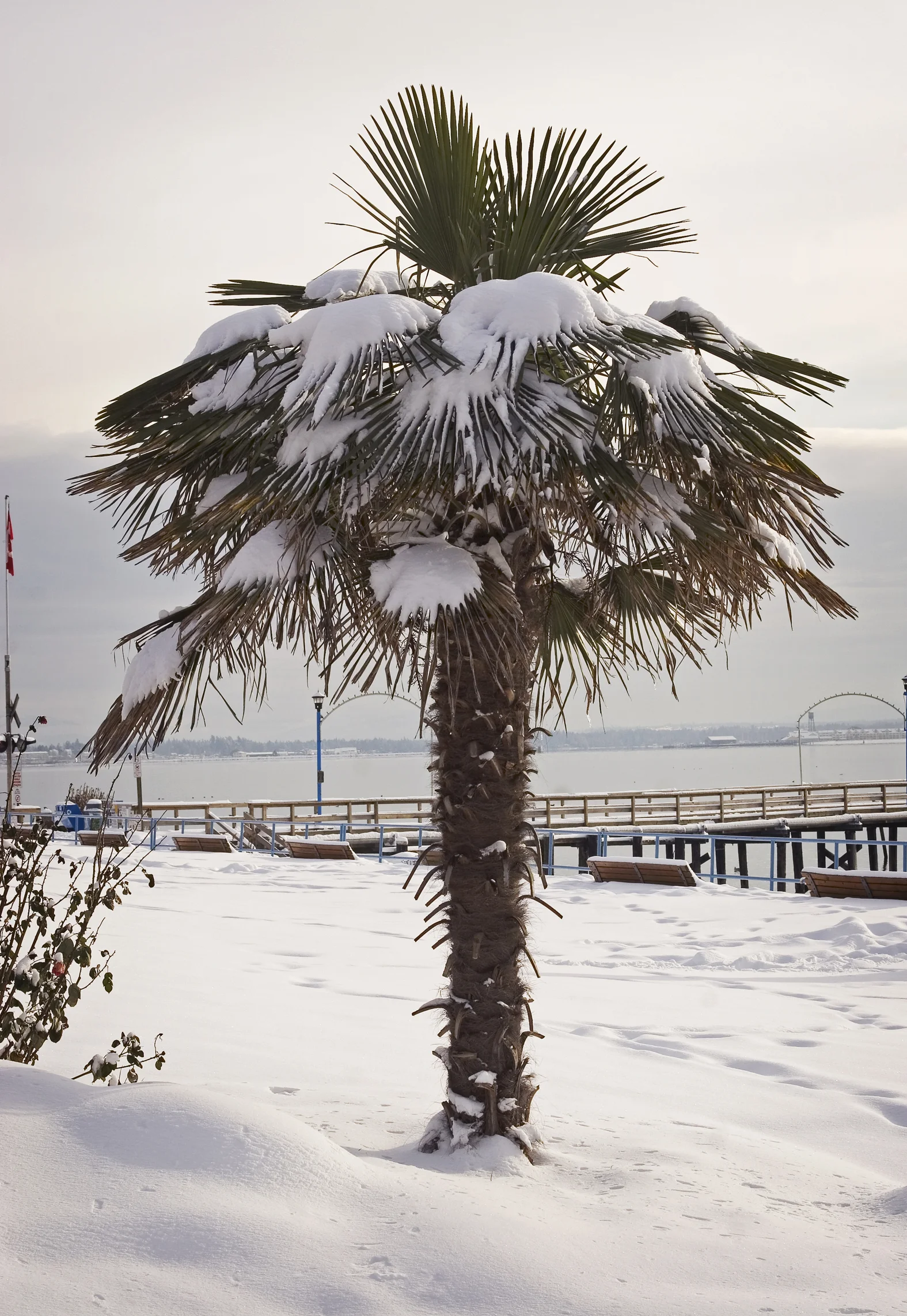 White Rock, BC, Canada