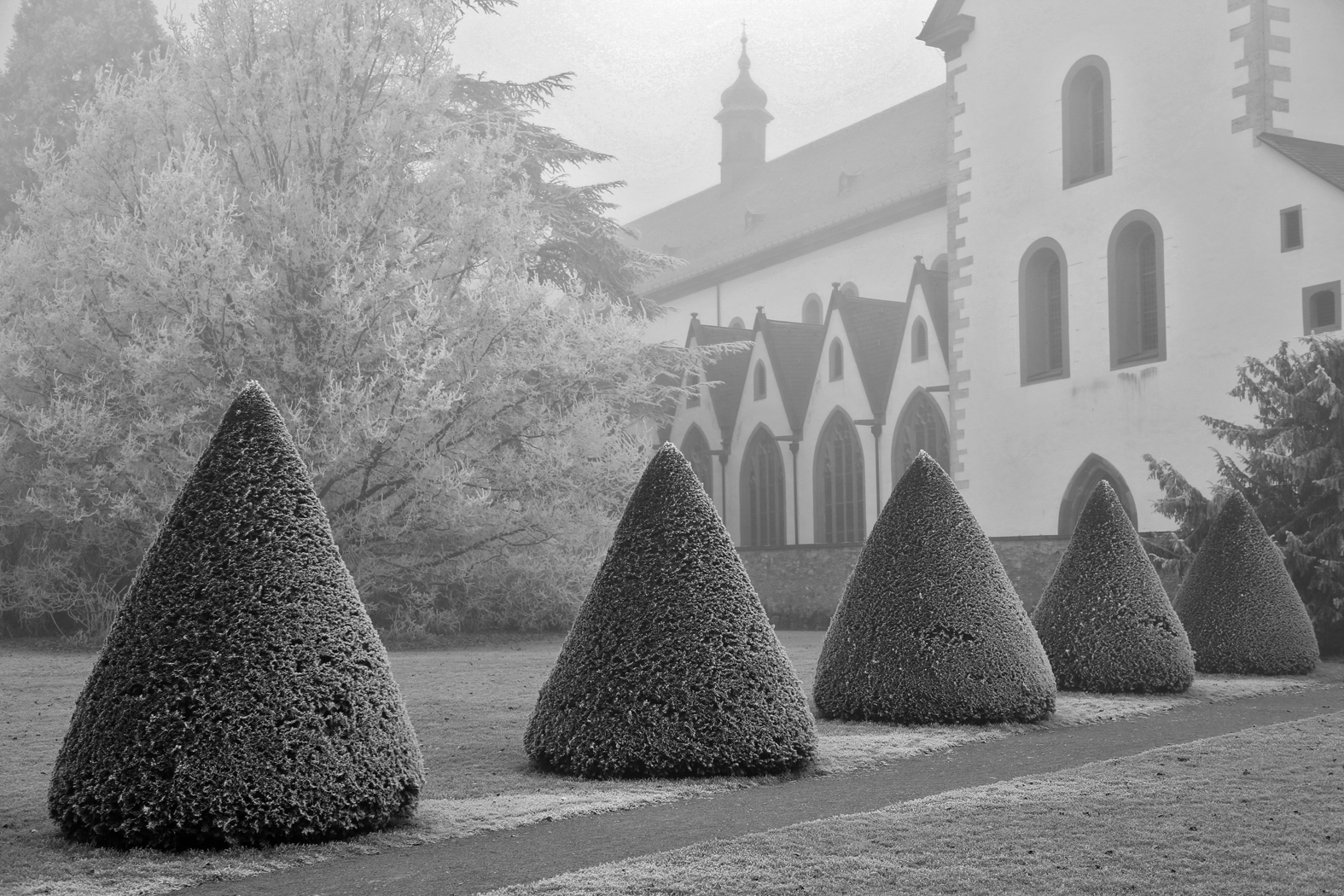  Kloster Eberbach, Germany     