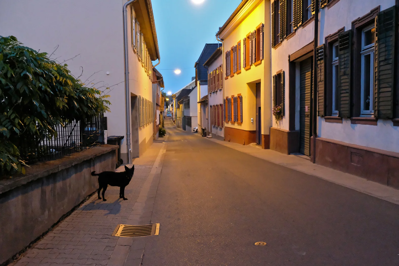 Ingelheim am Rhein, Germany