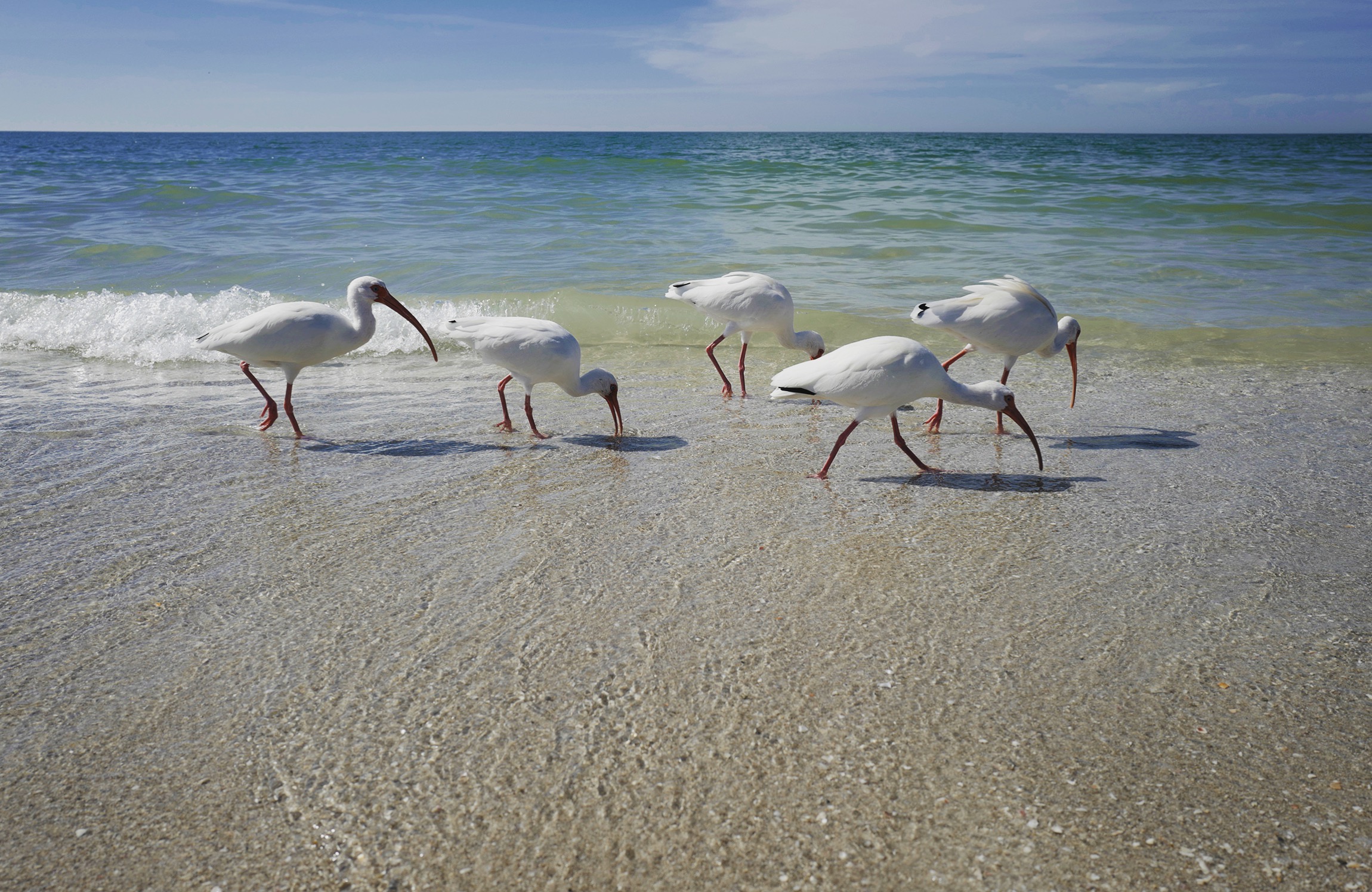  Naples, FL, USA    