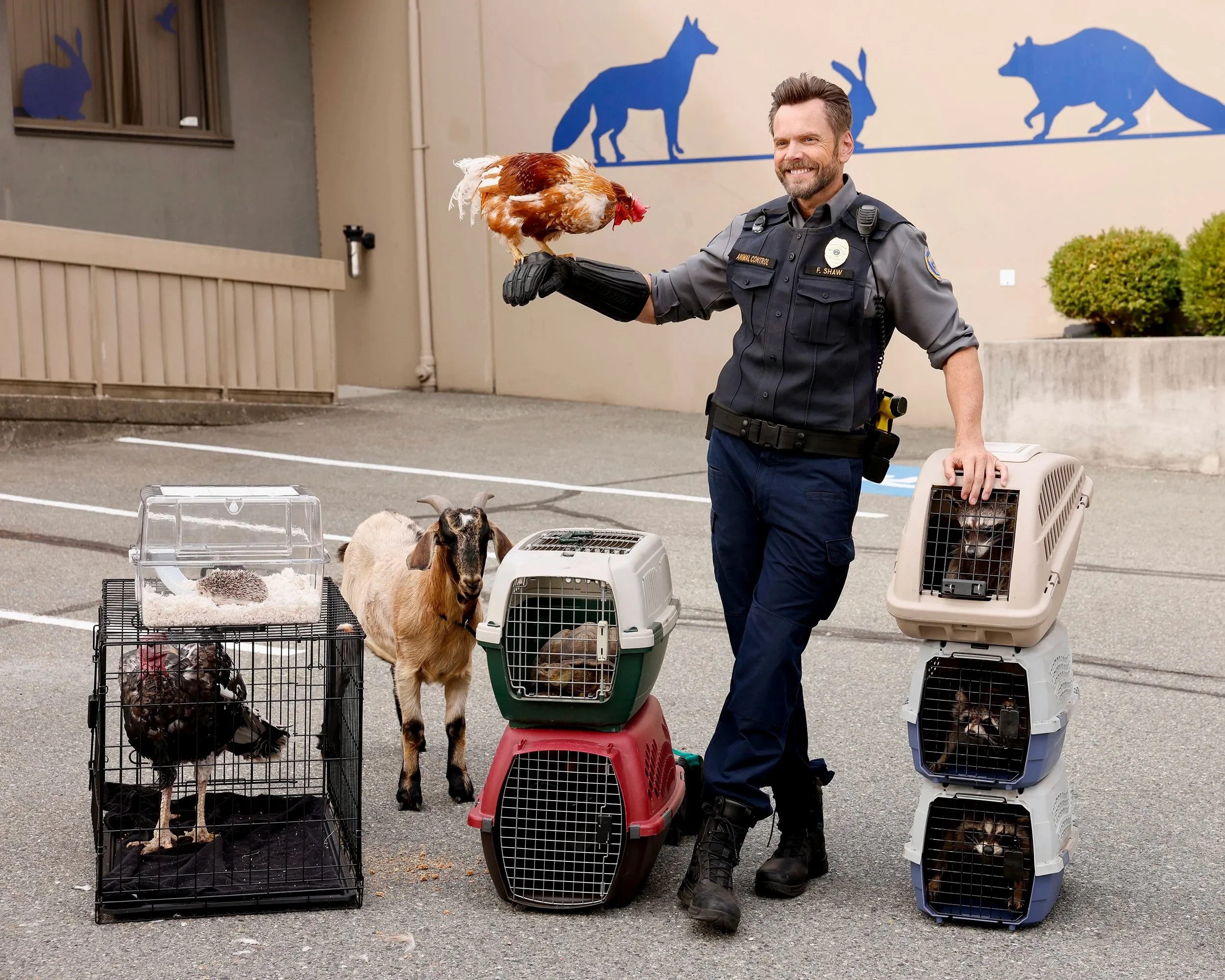  Animal Control 4 