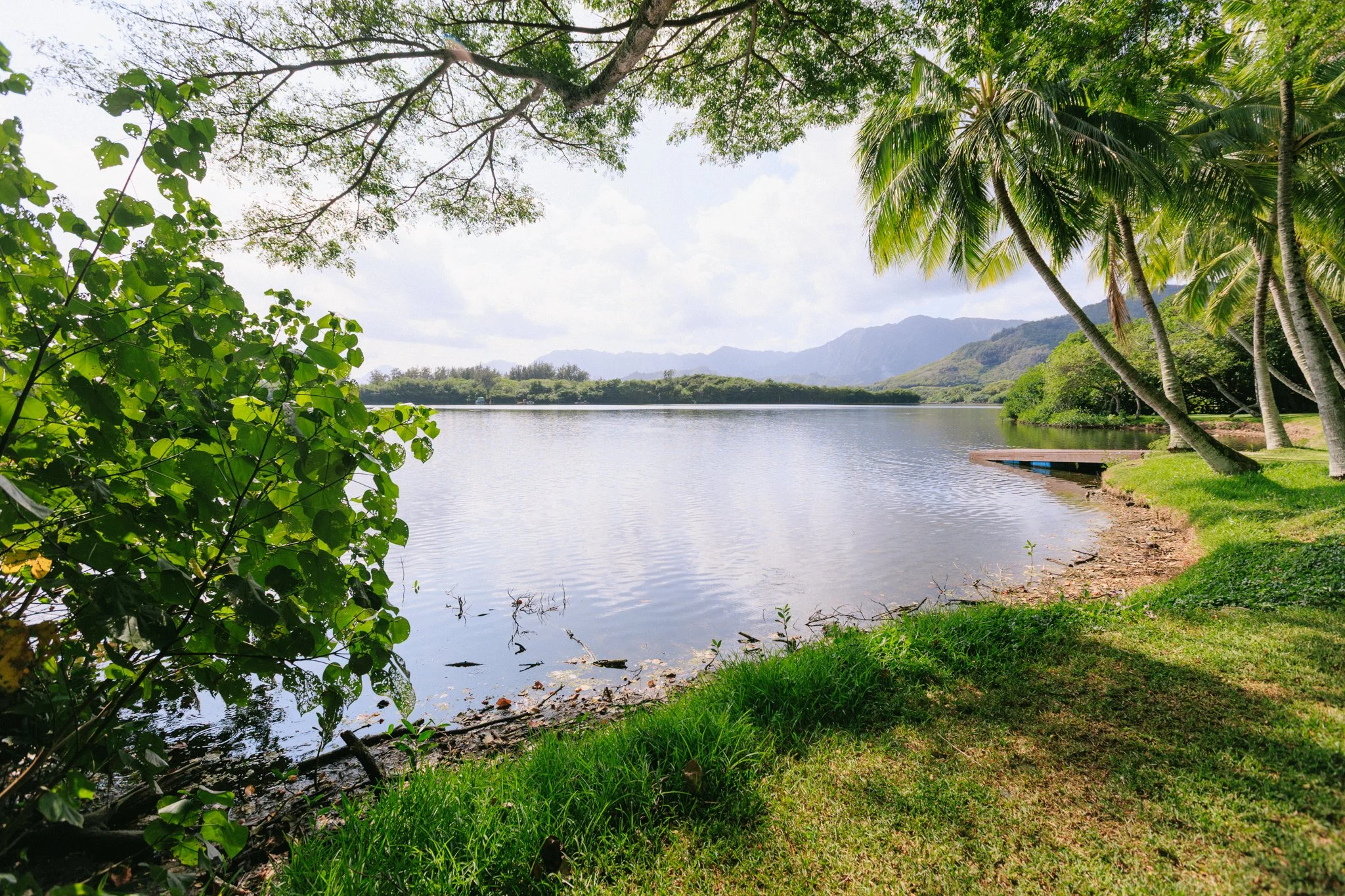 Lush green trees and shrubs by a calm body of water, mountain range in the distance, partly cloudy sky.