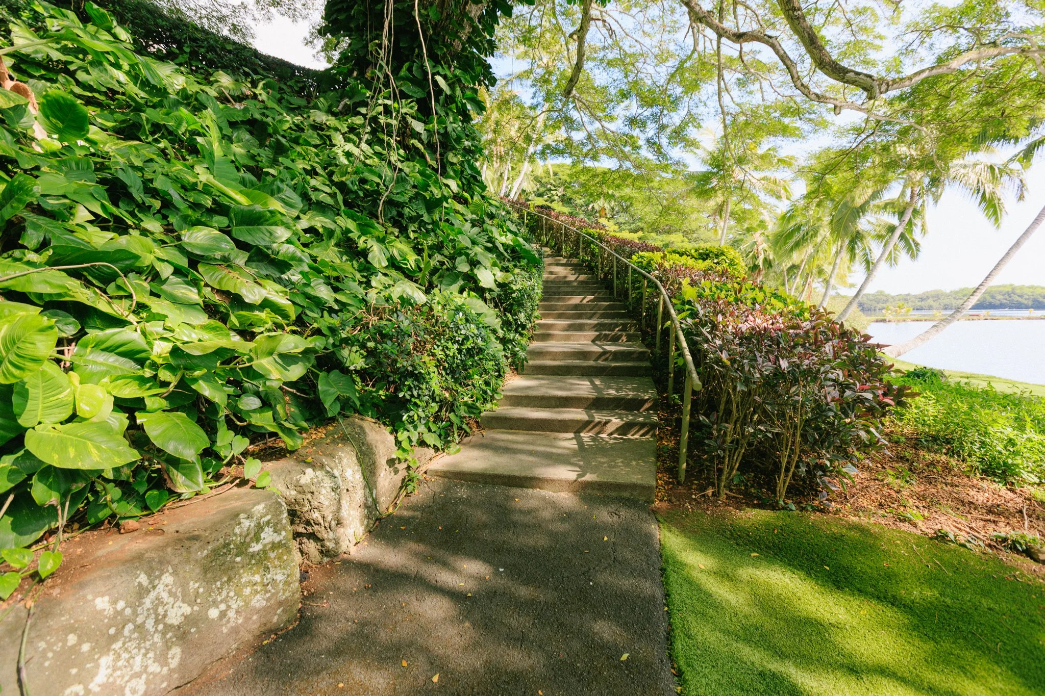Stone pathway with stairs and metal railing through lush green tropical plants and trees, near water with a bright sky.