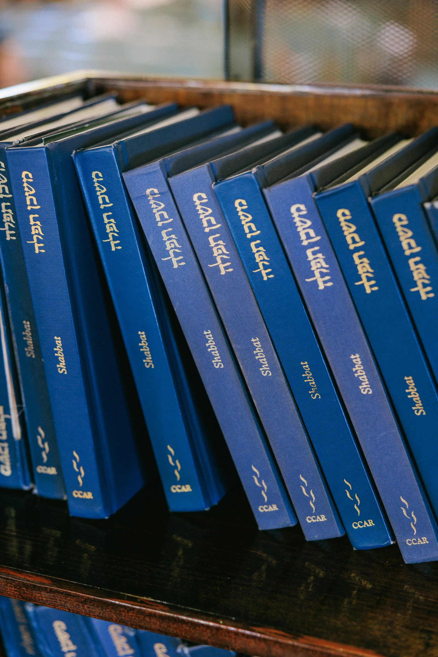 Documentary style photo of Torah bar mitzvah photography Oahu Hawaii