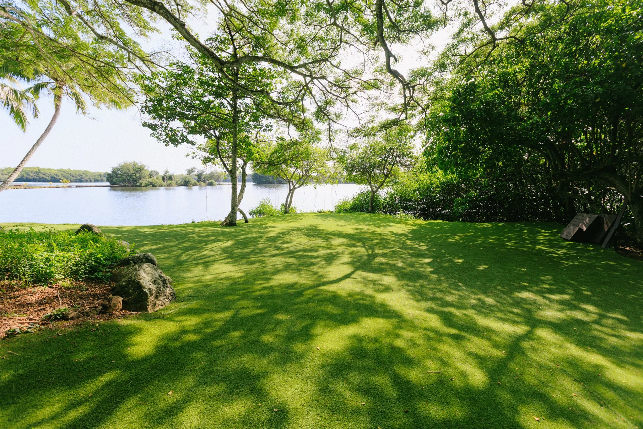 Sunlit grassy area with trees near a body of water, casting shadows, in a natural setting