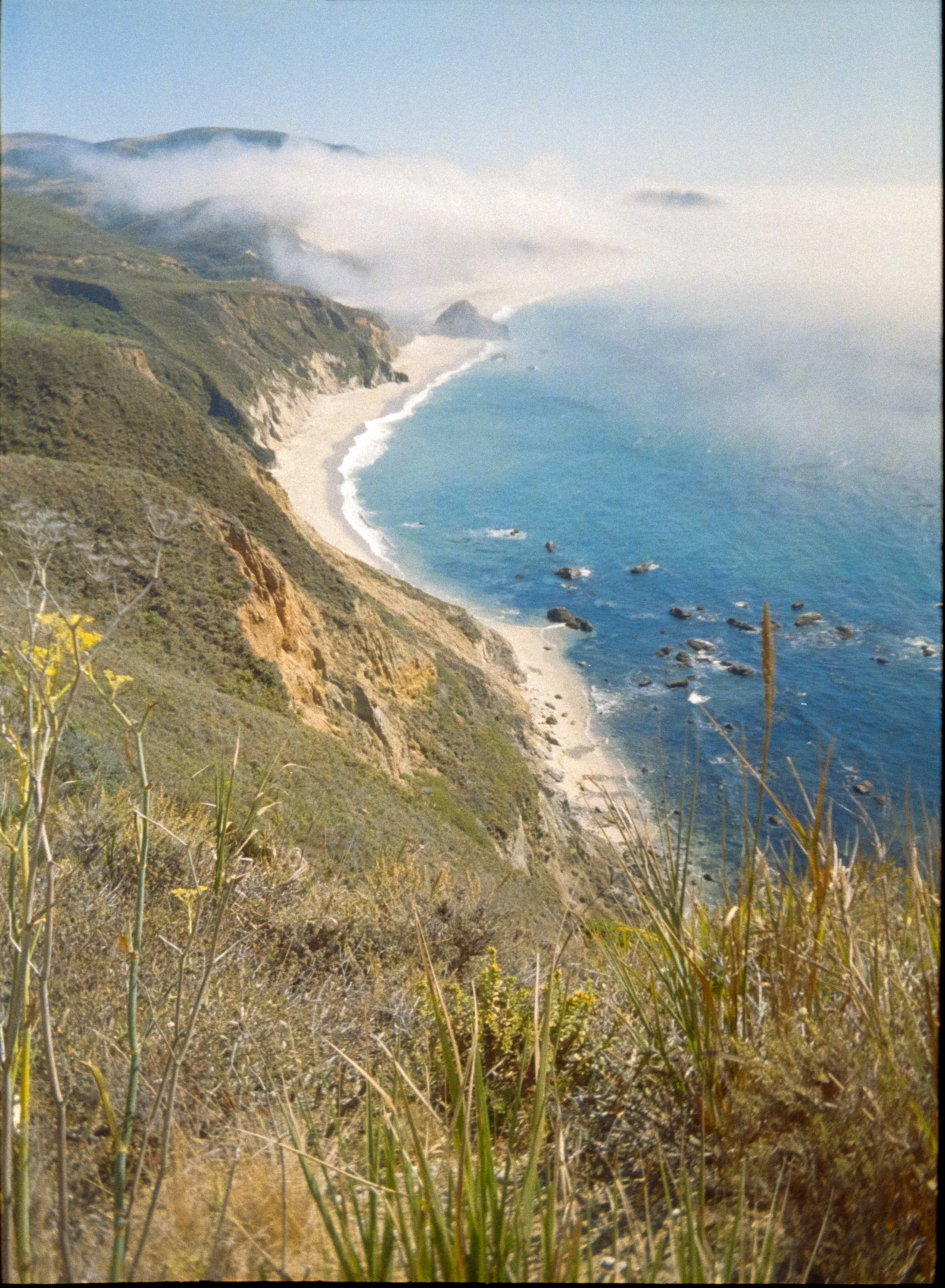 1.27.25 - Cali Big Sur Trip-011-positive-2.jpg
