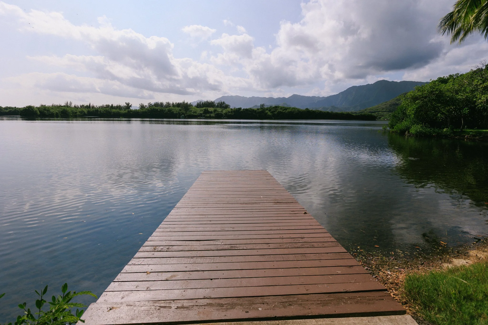 A wooden dock extending into a calm body of water surrounded by green trees with mountains in the background under a partly cloudy sky.