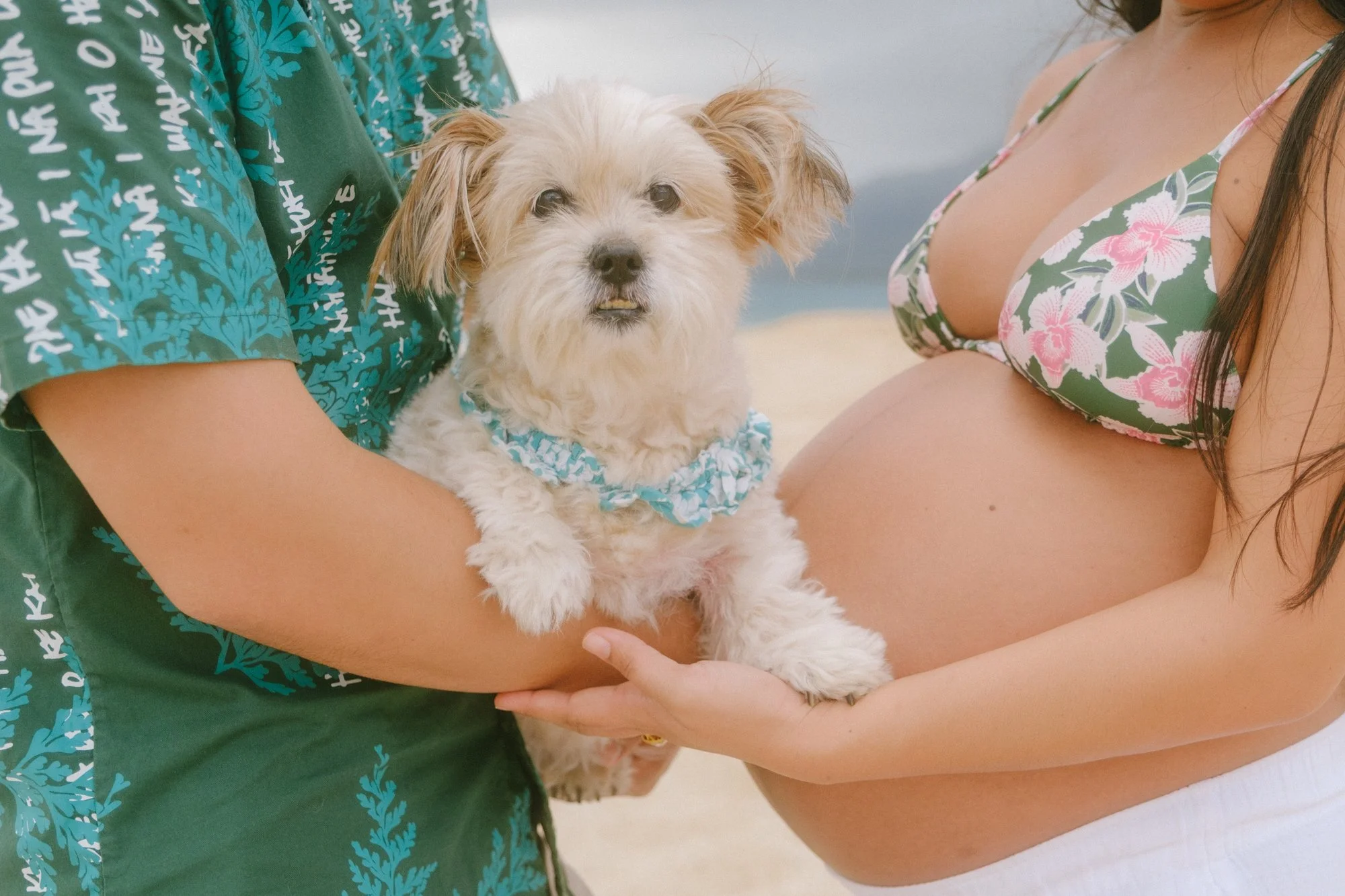 oahu-maternity-photographer-14.jpg